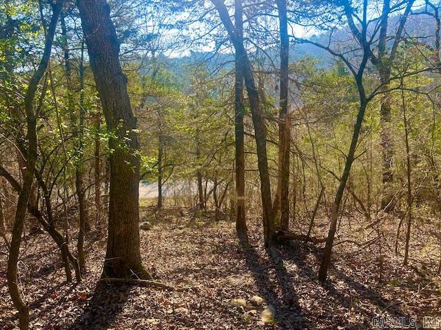 0 Cr 8060 Property Photo 3