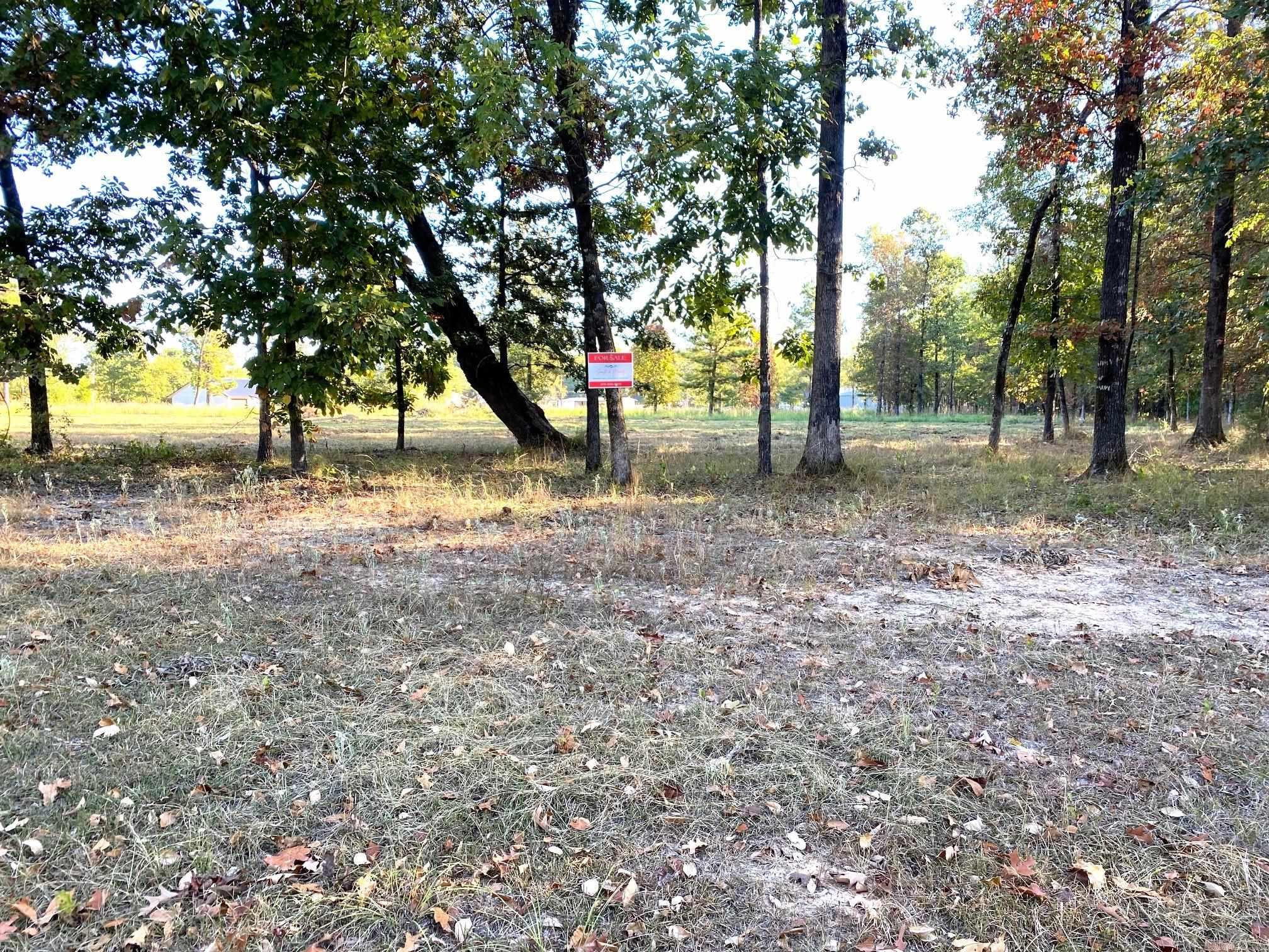 110 Country Club Lane Avenue Property Photo 4
