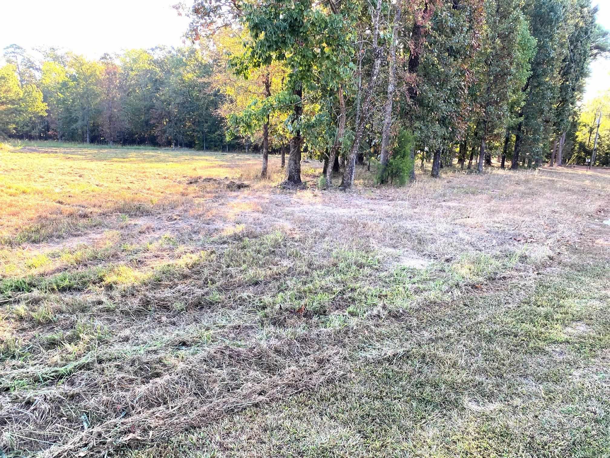 110 Country Club Lane Avenue Property Photo 5