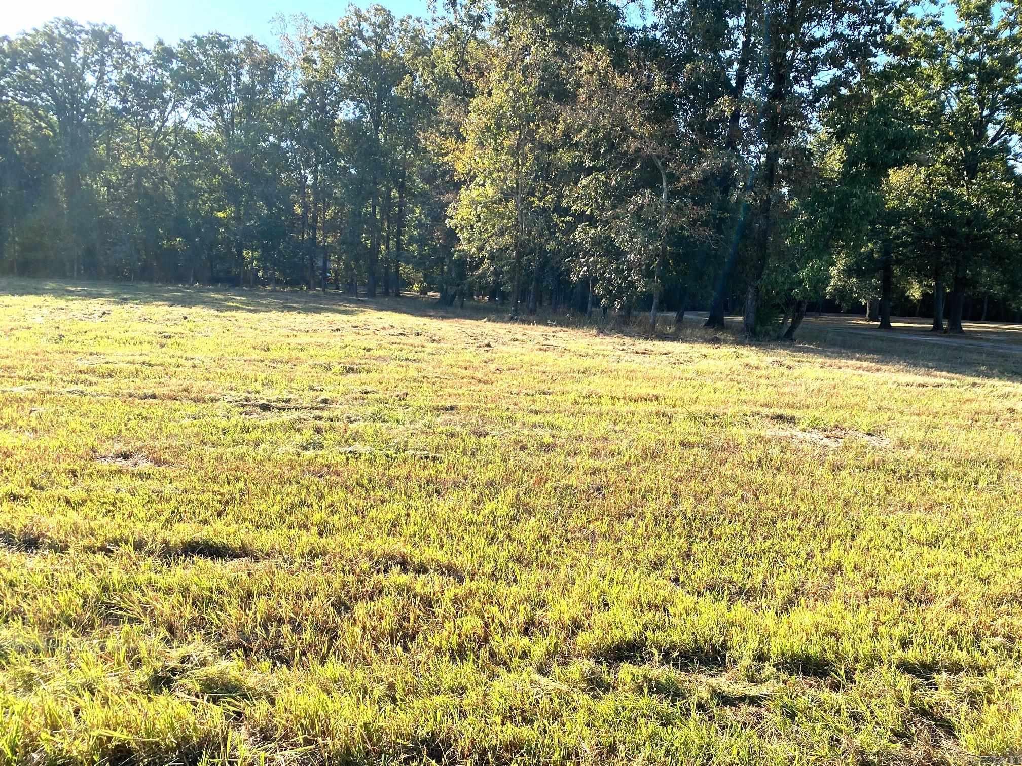 110 Country Club Lane Avenue Property Photo 7