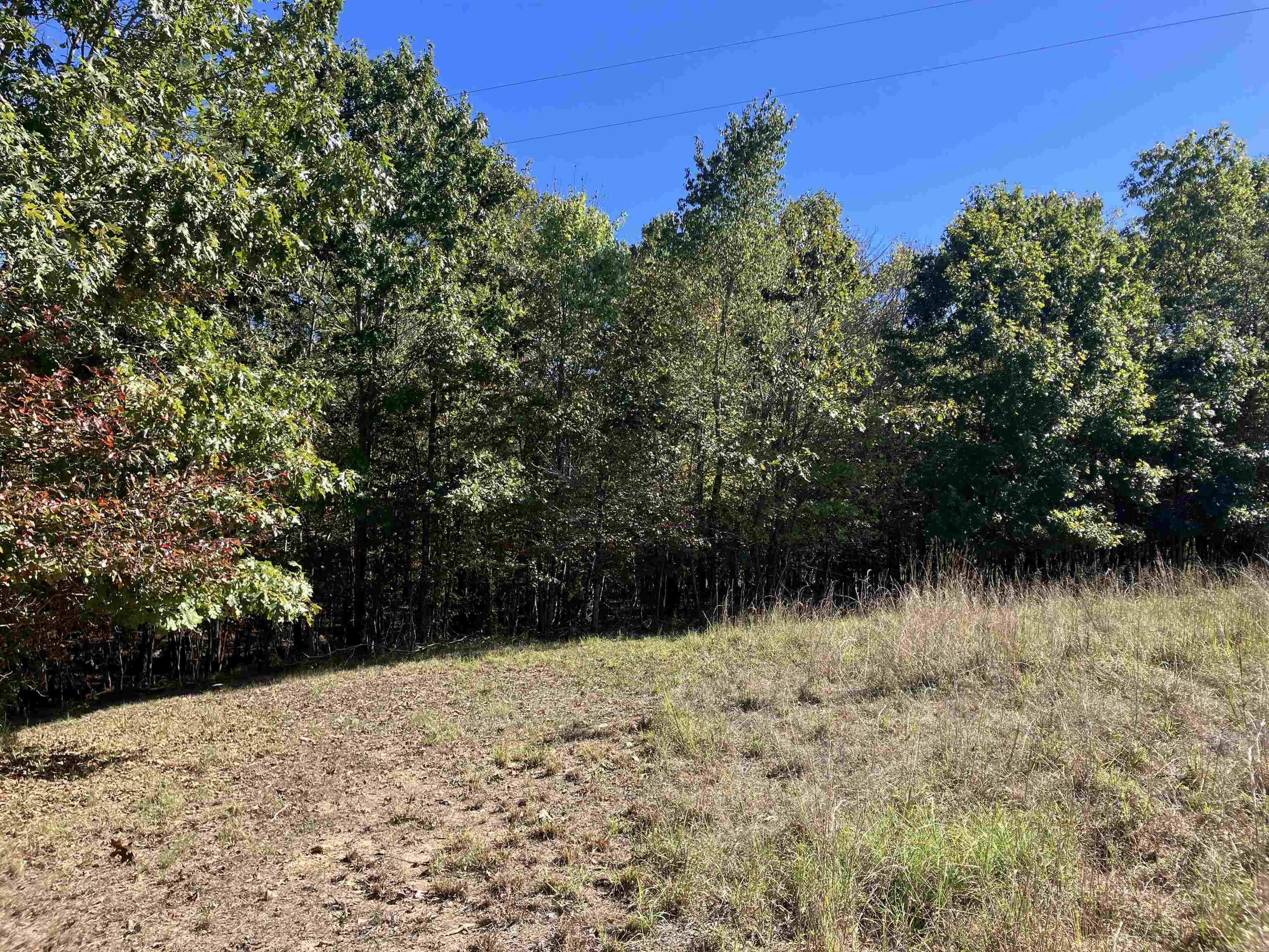 Tbd Tract 5 Polk Road 78 Road Property Photo 1