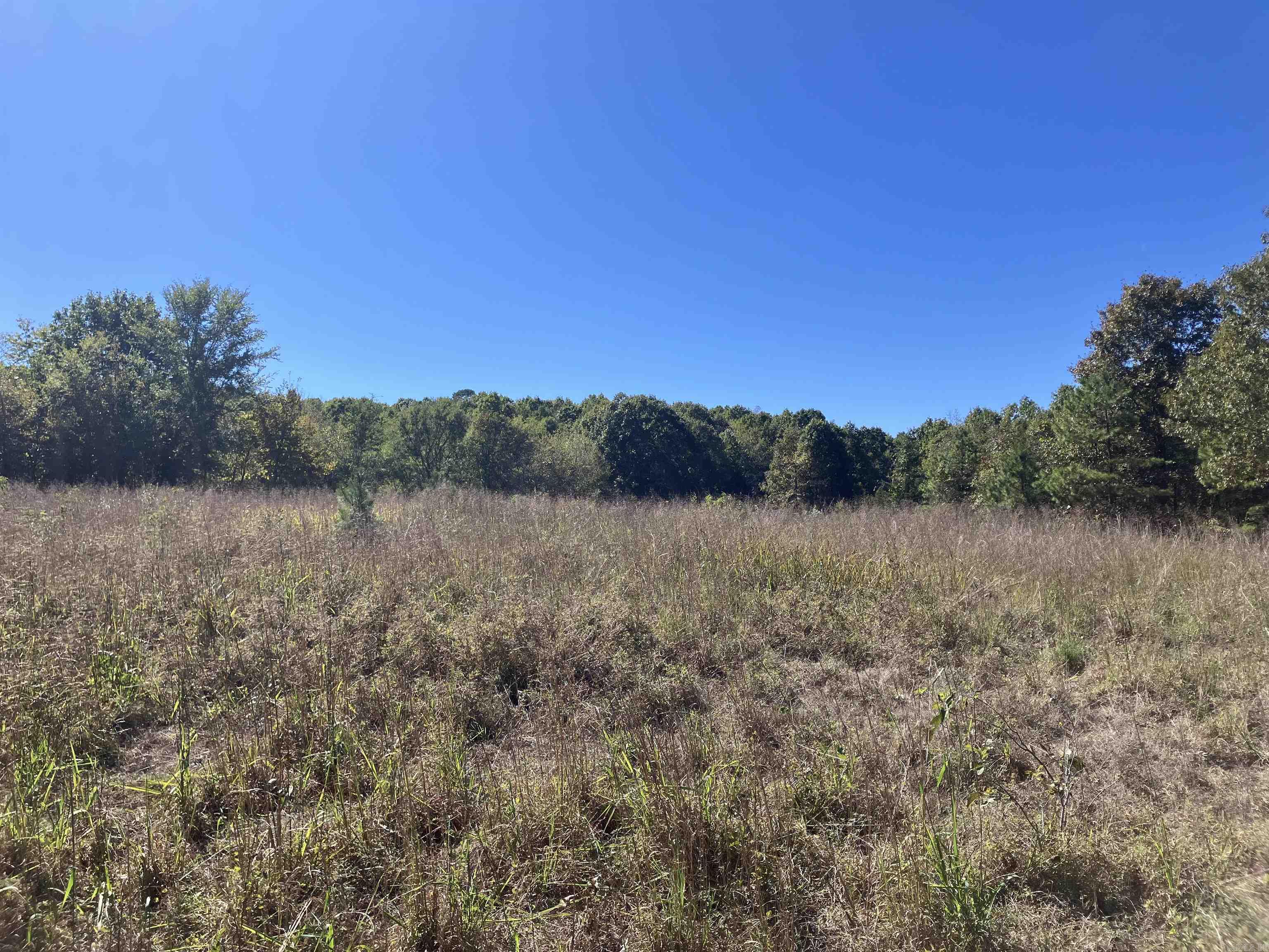 Tbd Tract 5 Polk Road 78 Road Property Photo 3