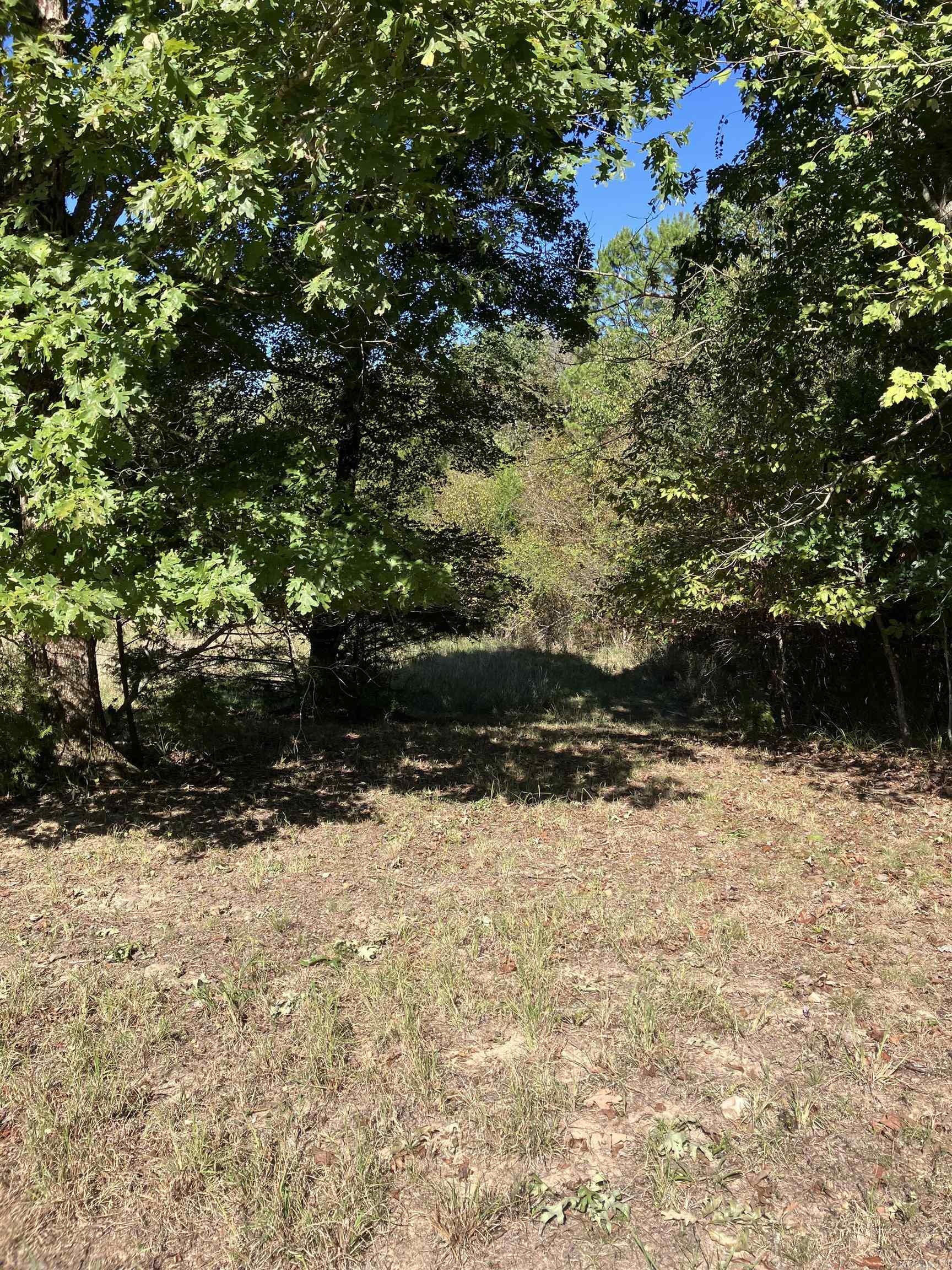 Tbd Tract 5 Polk Road 78 Road Property Photo 4