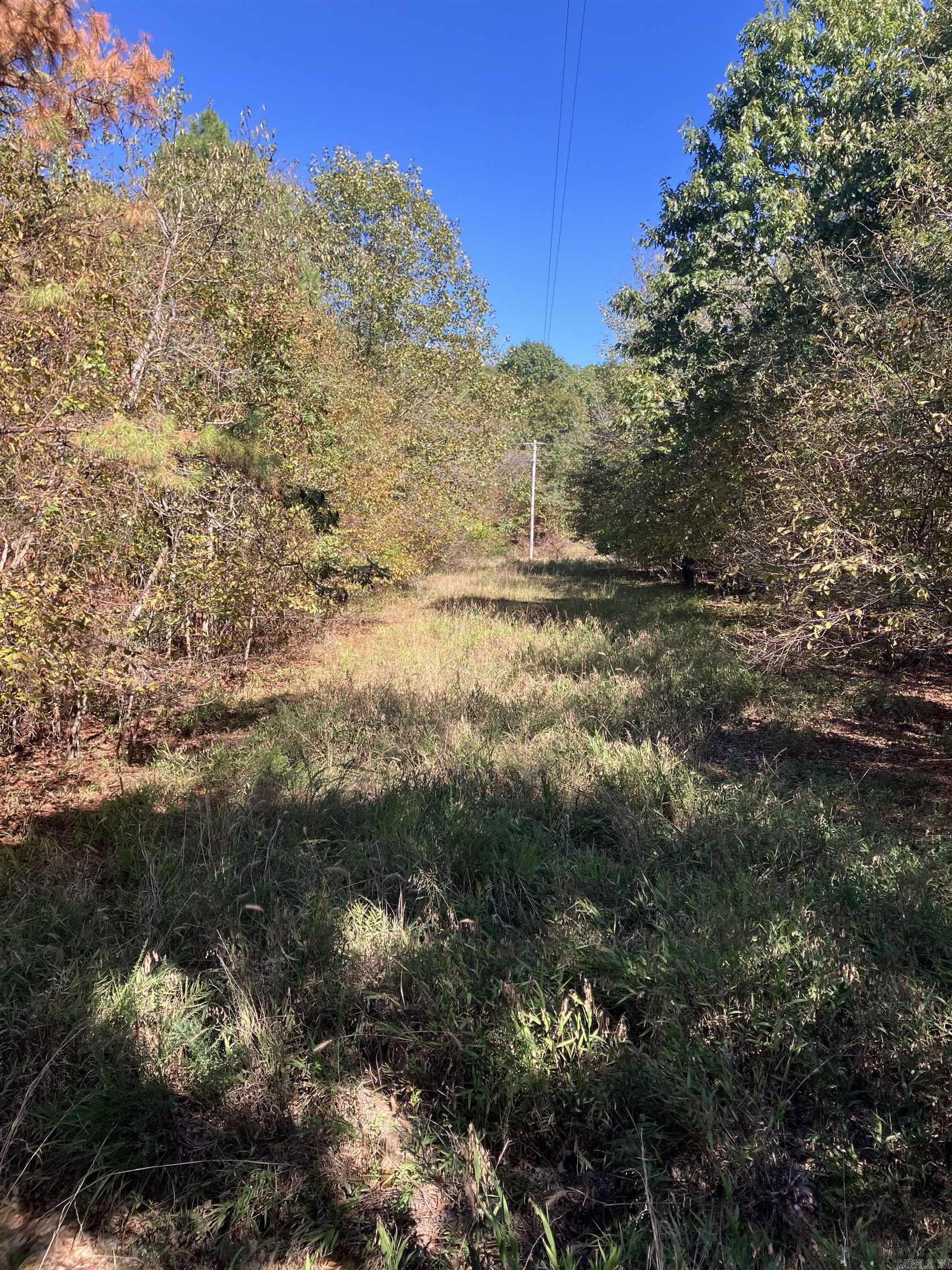 Tbd Tract 5 Polk Road 78 Road Property Photo 6