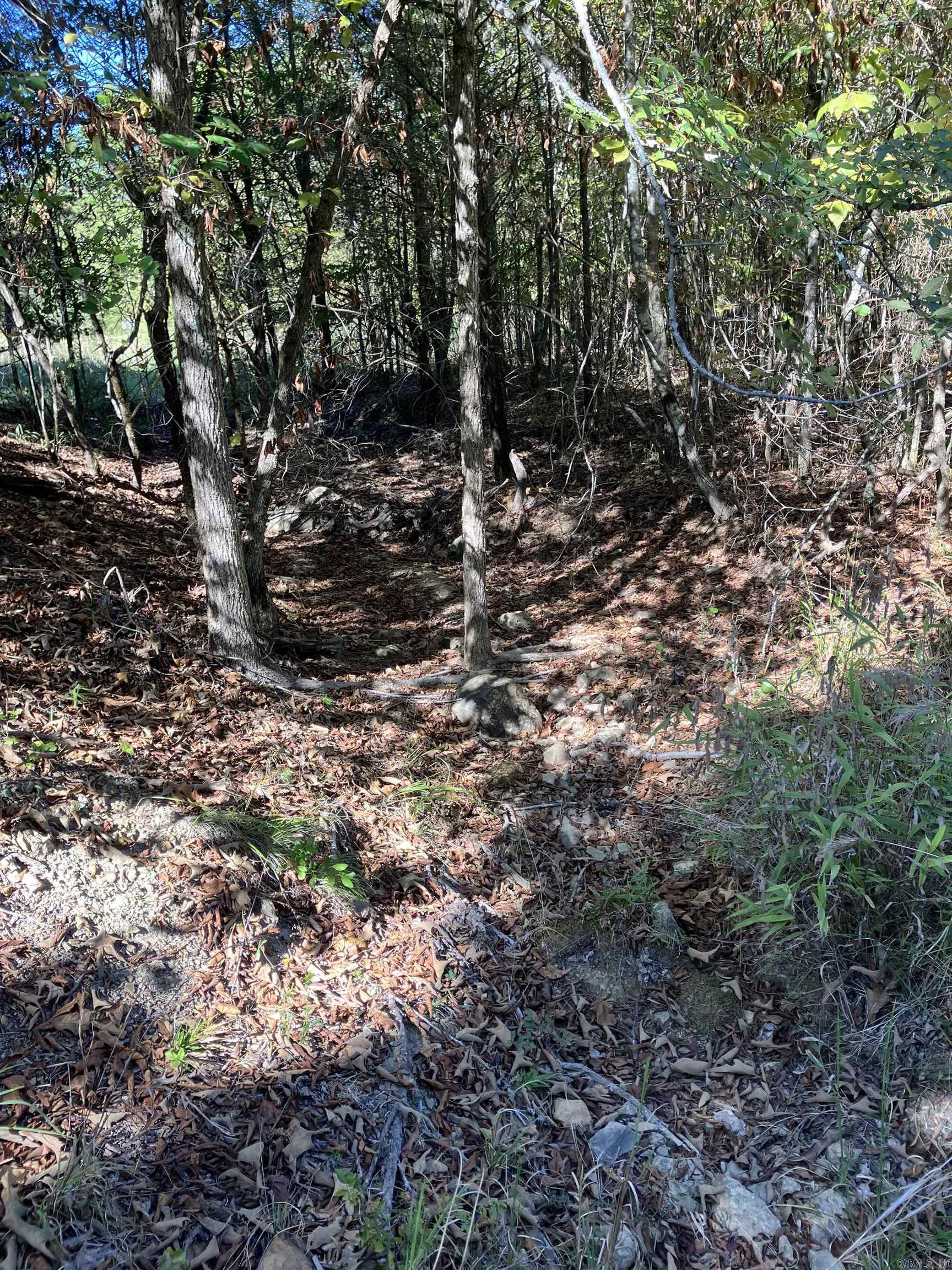 Tbd Tract 5 Polk Road 78 Road Property Photo 7
