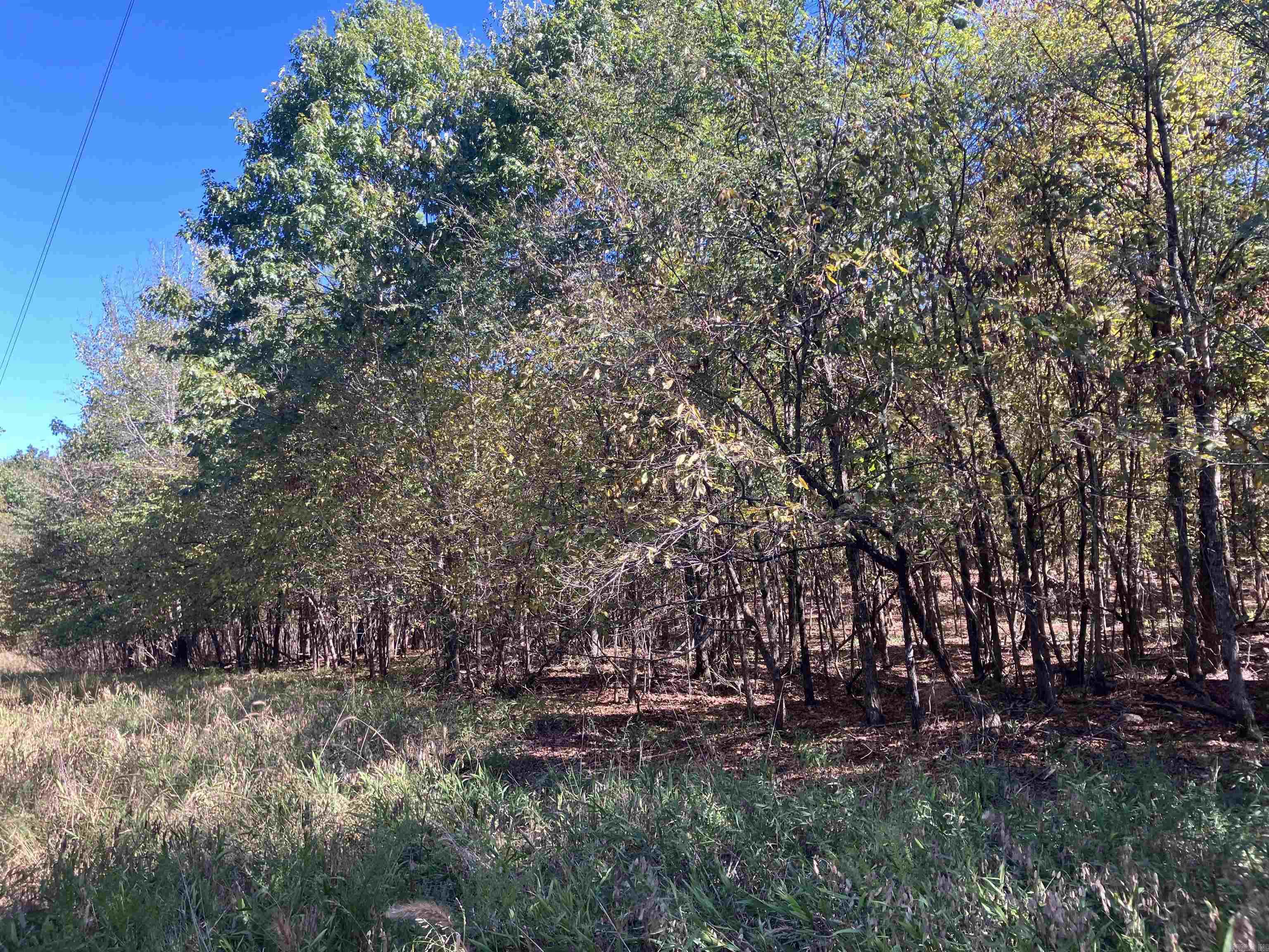 Tbd Tract 5 Polk Road 78 Road Property Photo 8