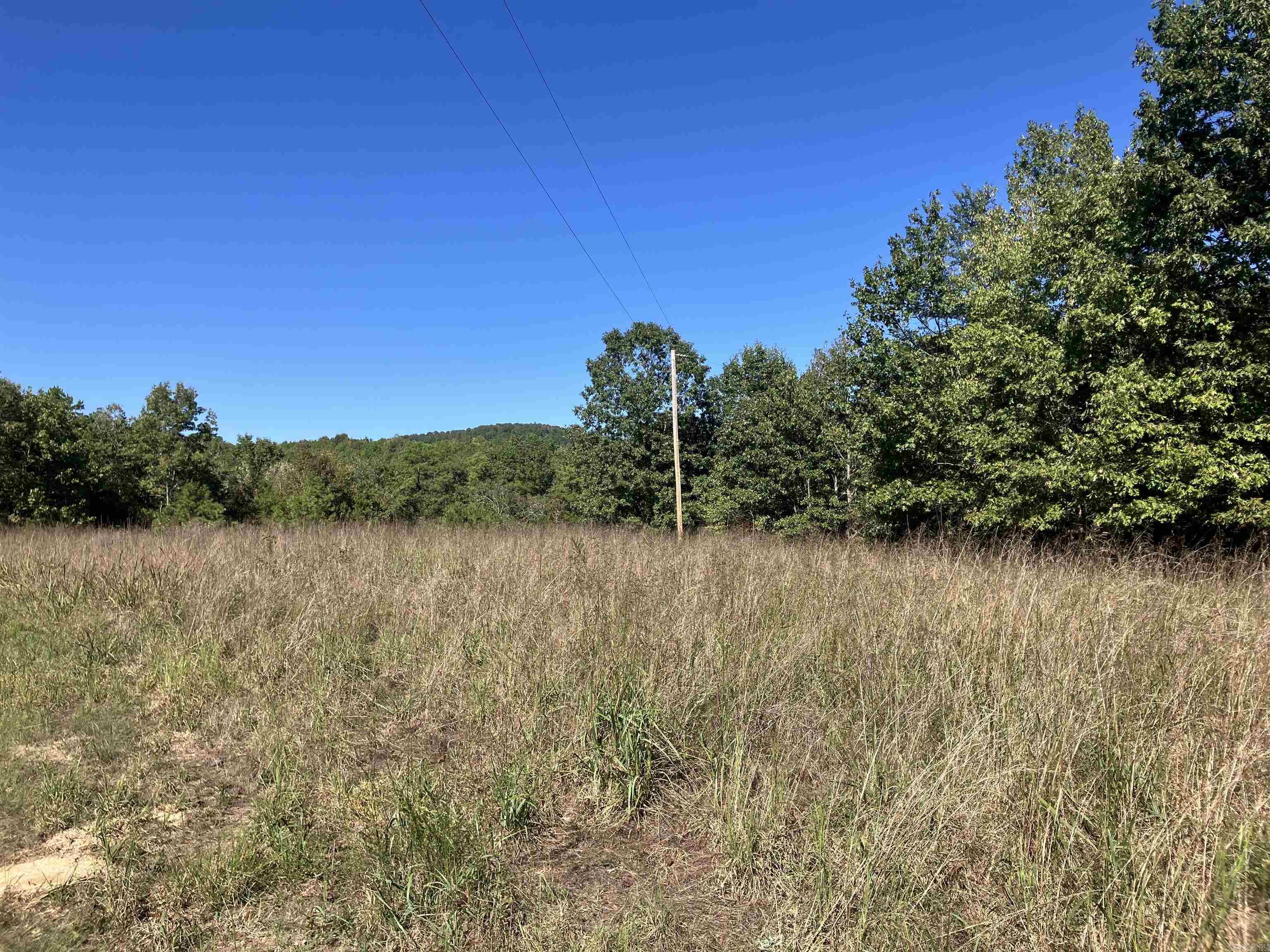 Tbd Tract 5 Polk Road 78 Road Property Photo 9