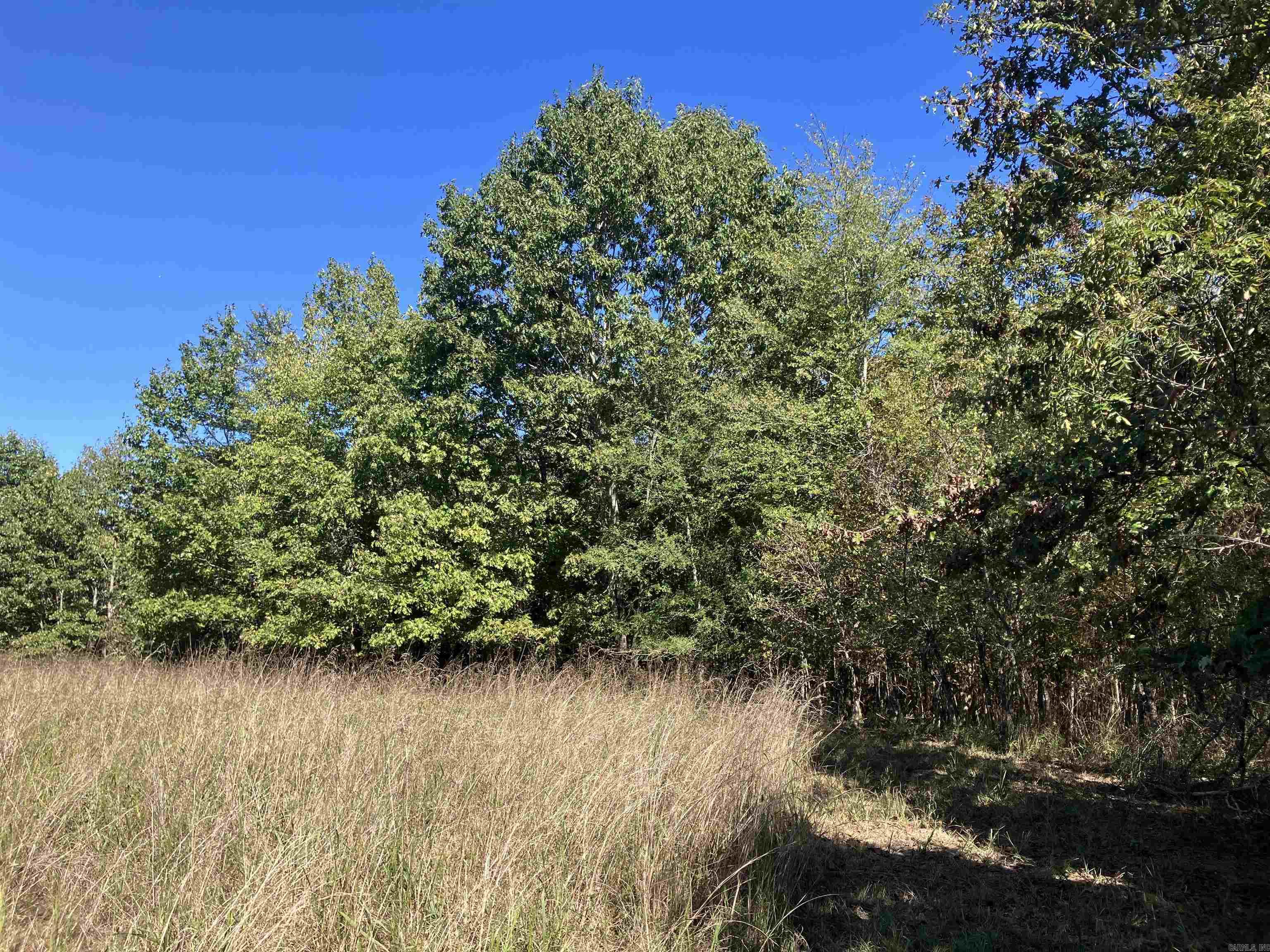 Tbd Tract 5 Polk Road 78 Road Property Photo 10