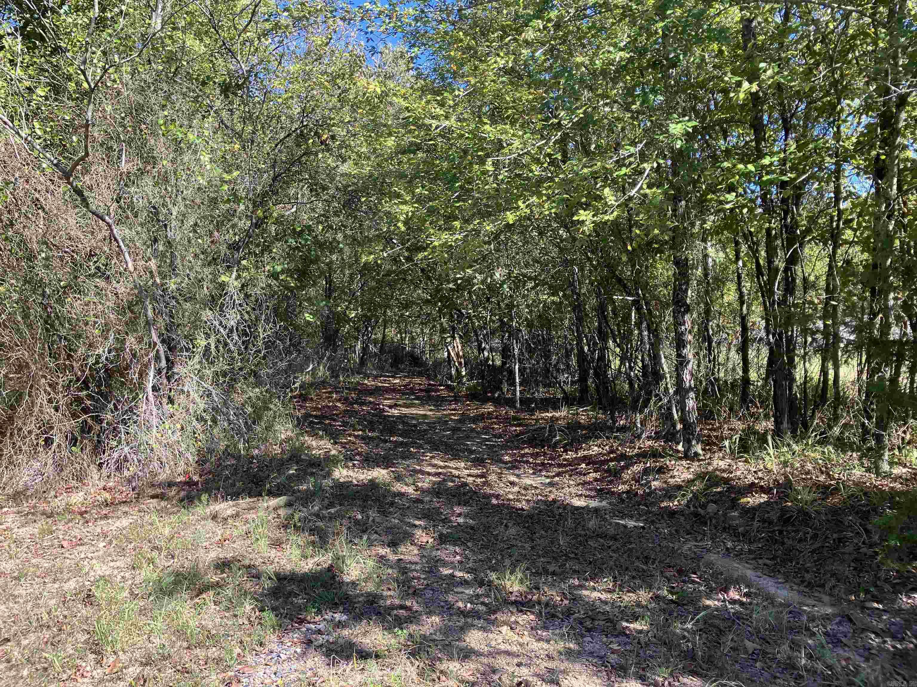 Tbd Tract 5 Polk Road 78 Road Property Photo 12