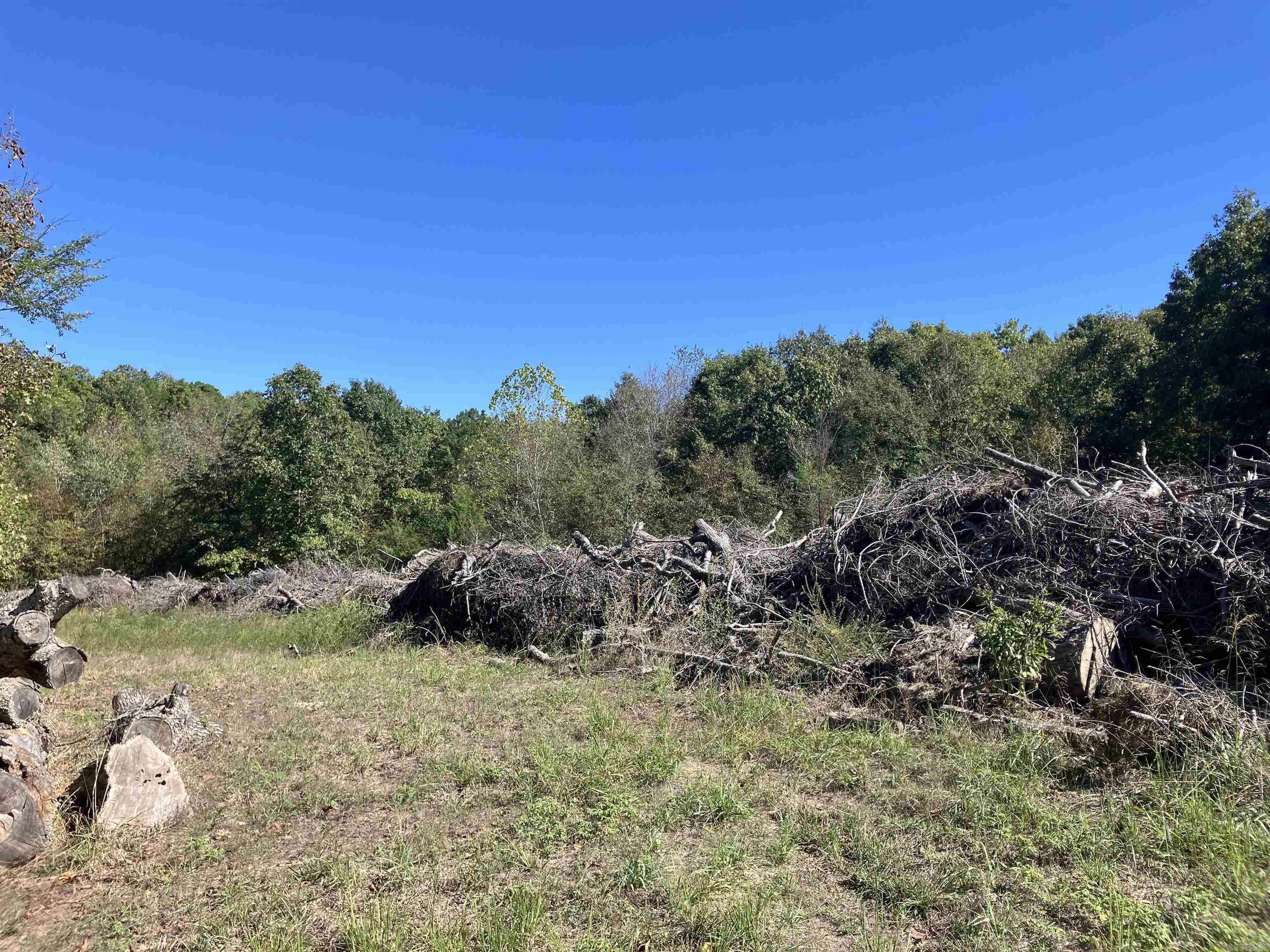 Tbd Tract 5 Polk Road 78 Road Property Photo 13