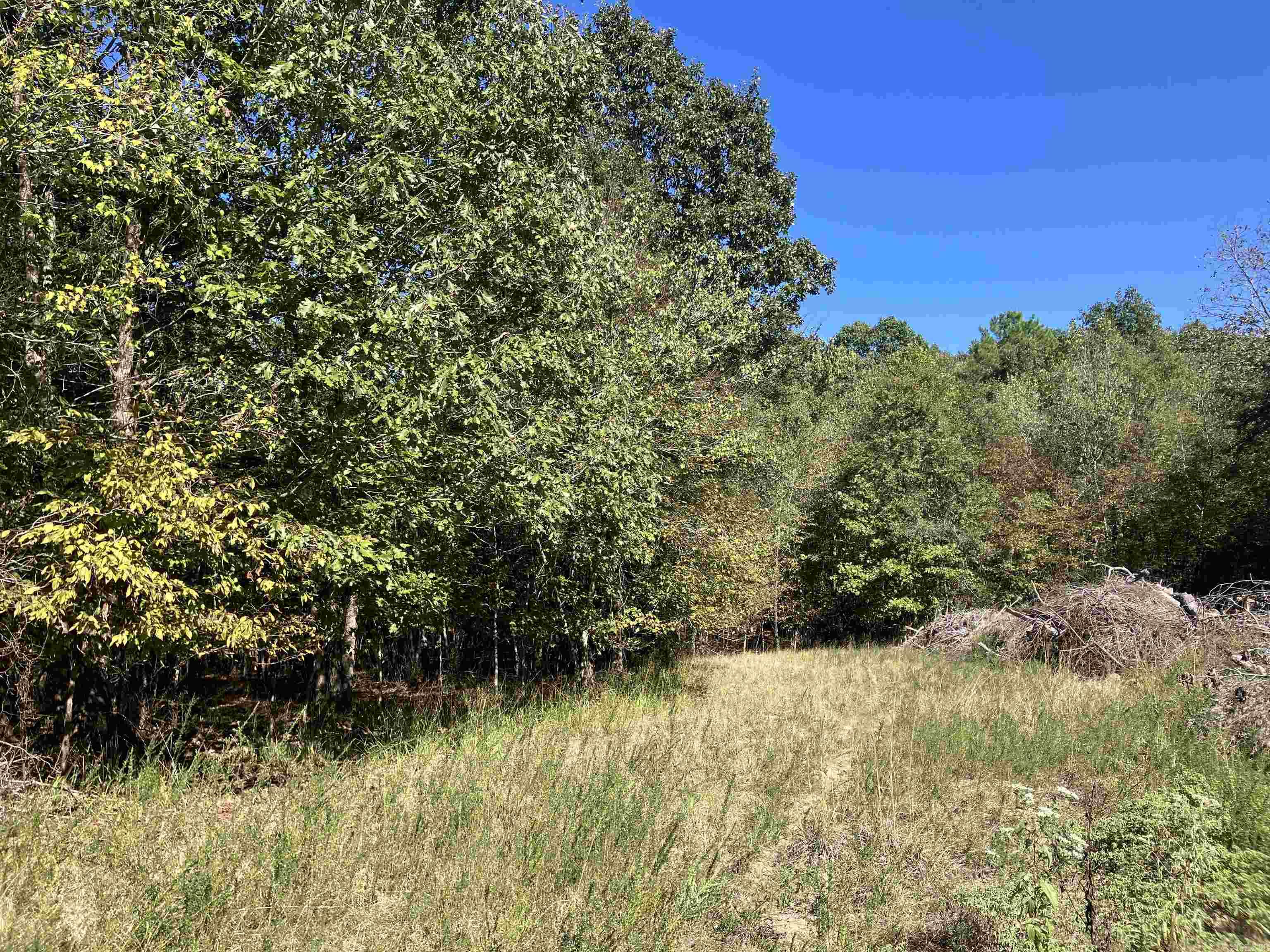 Tbd Tract 5 Polk Road 78 Road Property Photo 14