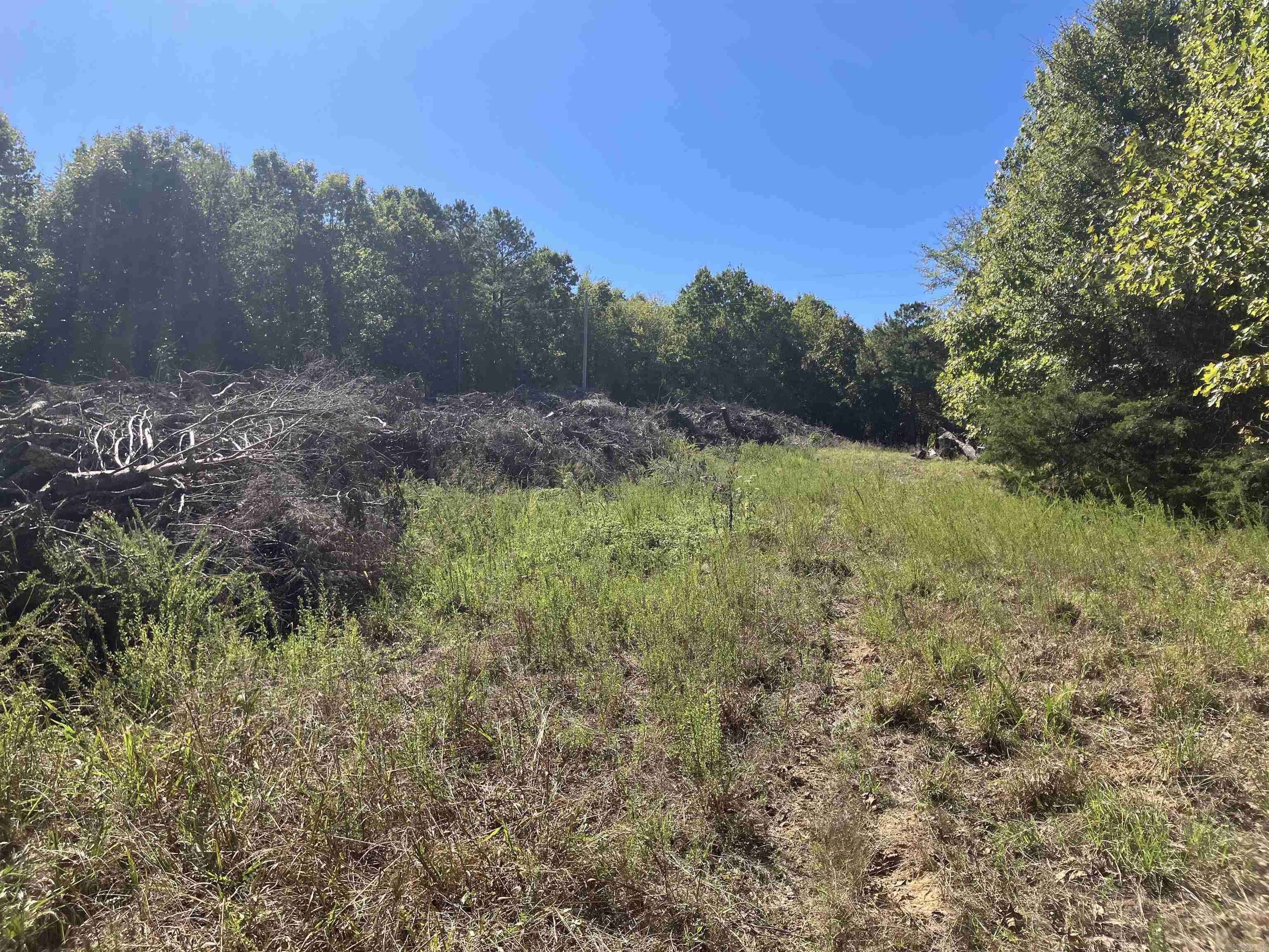 Tbd Tract 5 Polk Road 78 Road Property Photo 15
