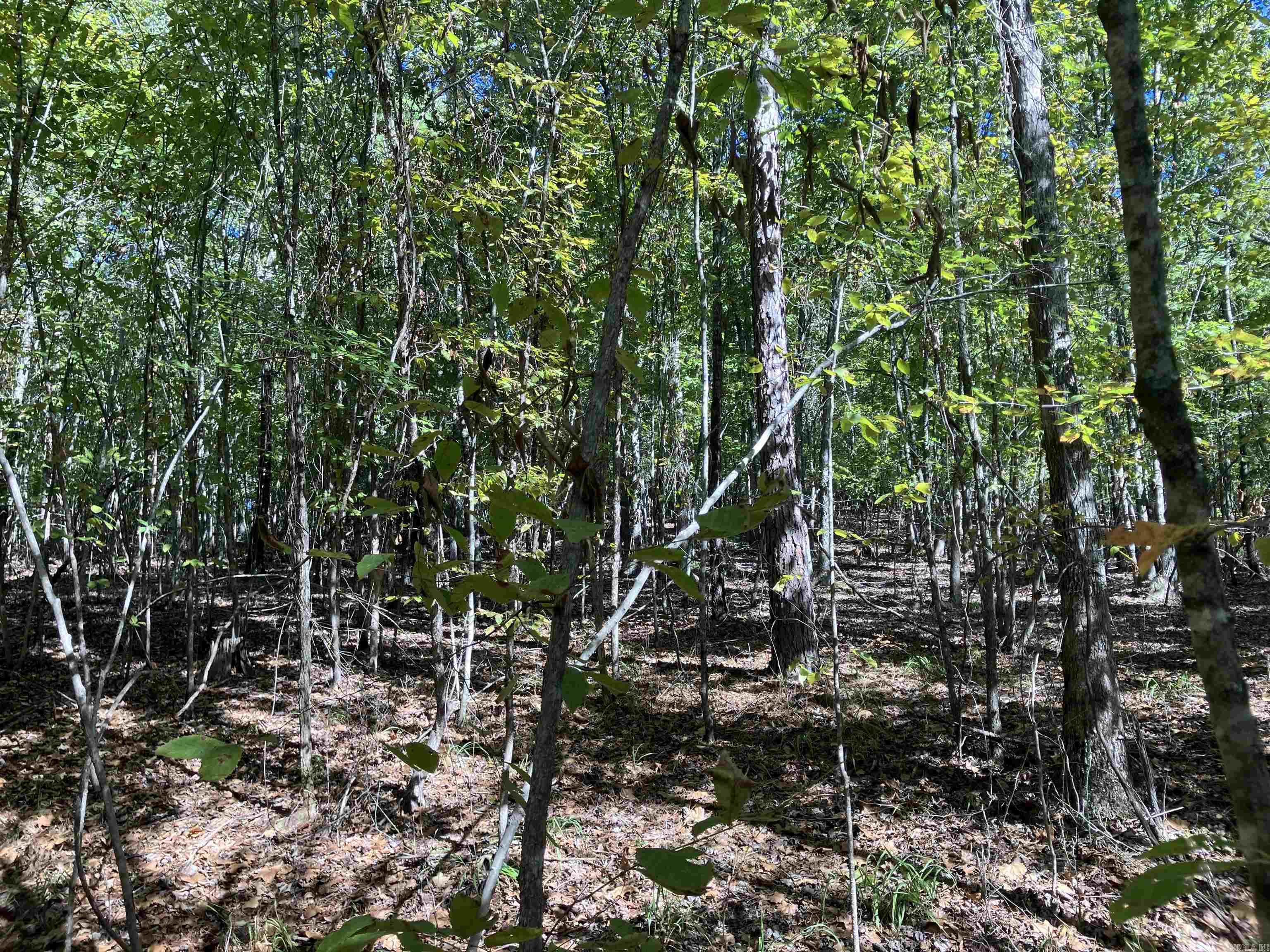 Tbd Tract 5 Polk Road 78 Road Property Photo 16