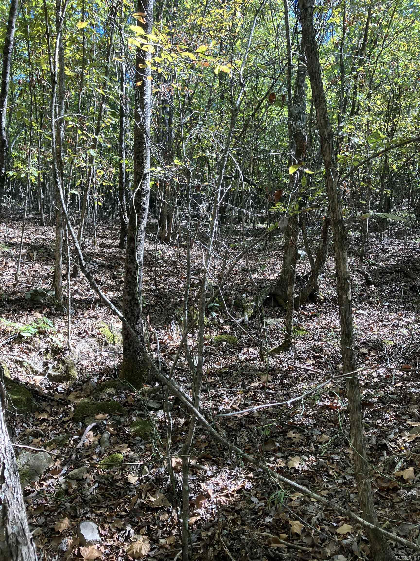 Tbd Tract 5 Polk Road 78 Road Property Photo 17