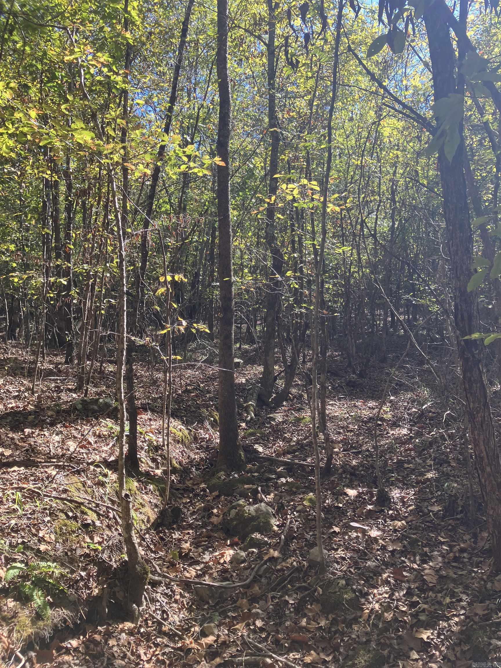 Tbd Tract 5 Polk Road 78 Road Property Photo 20