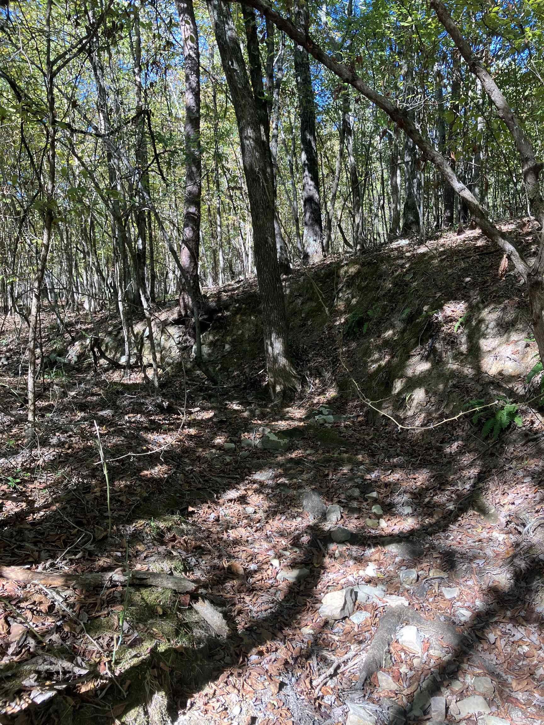 Tbd Tract 5 Polk Road 78 Road Property Photo 22
