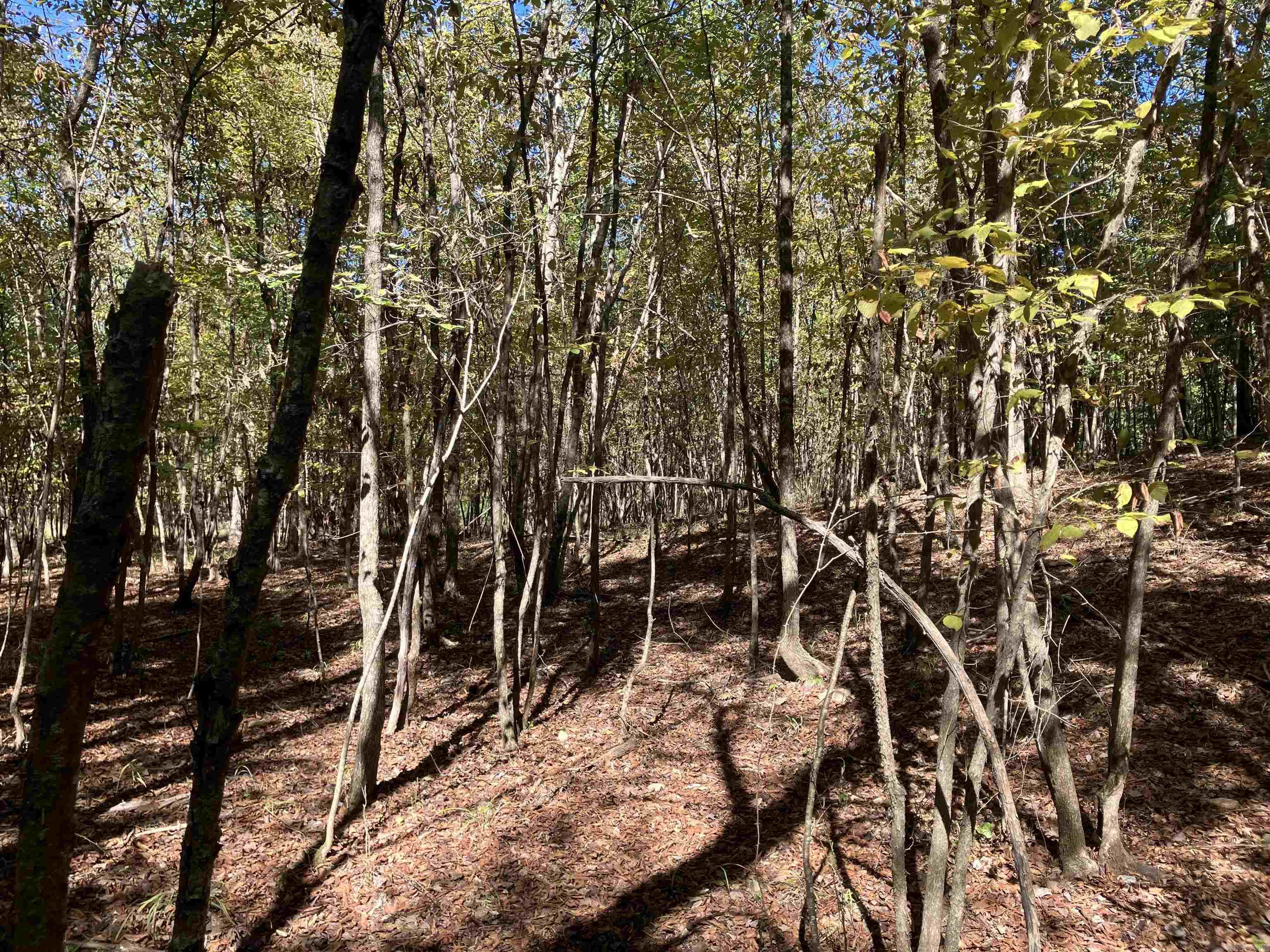 Tbd Tract 5 Polk Road 78 Road Property Photo 24