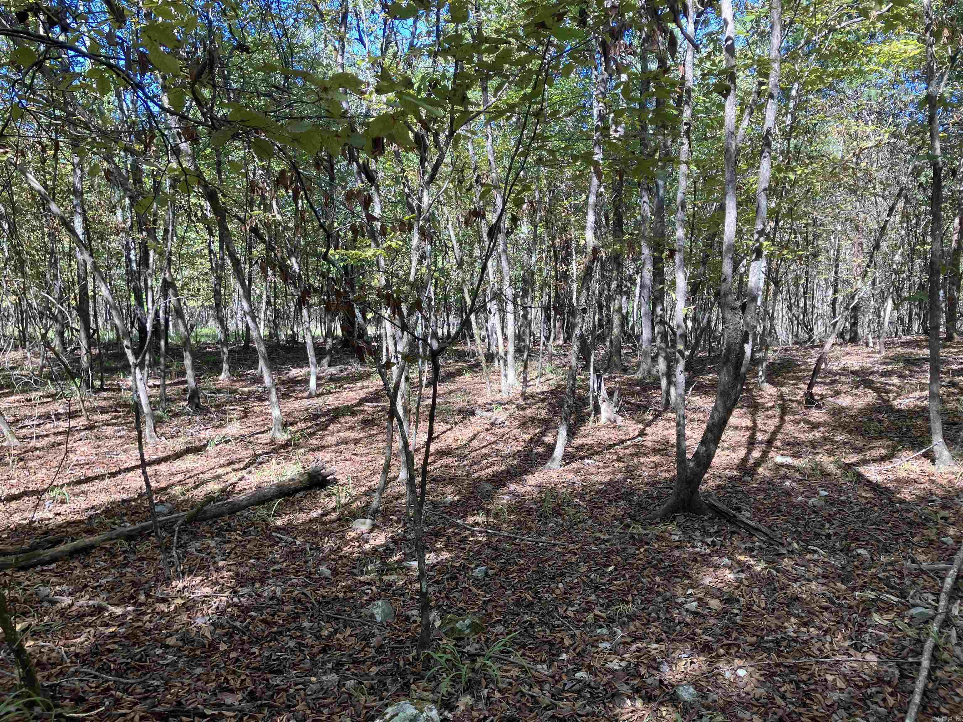 Tbd Tract 5 Polk Road 78 Road Property Photo 25
