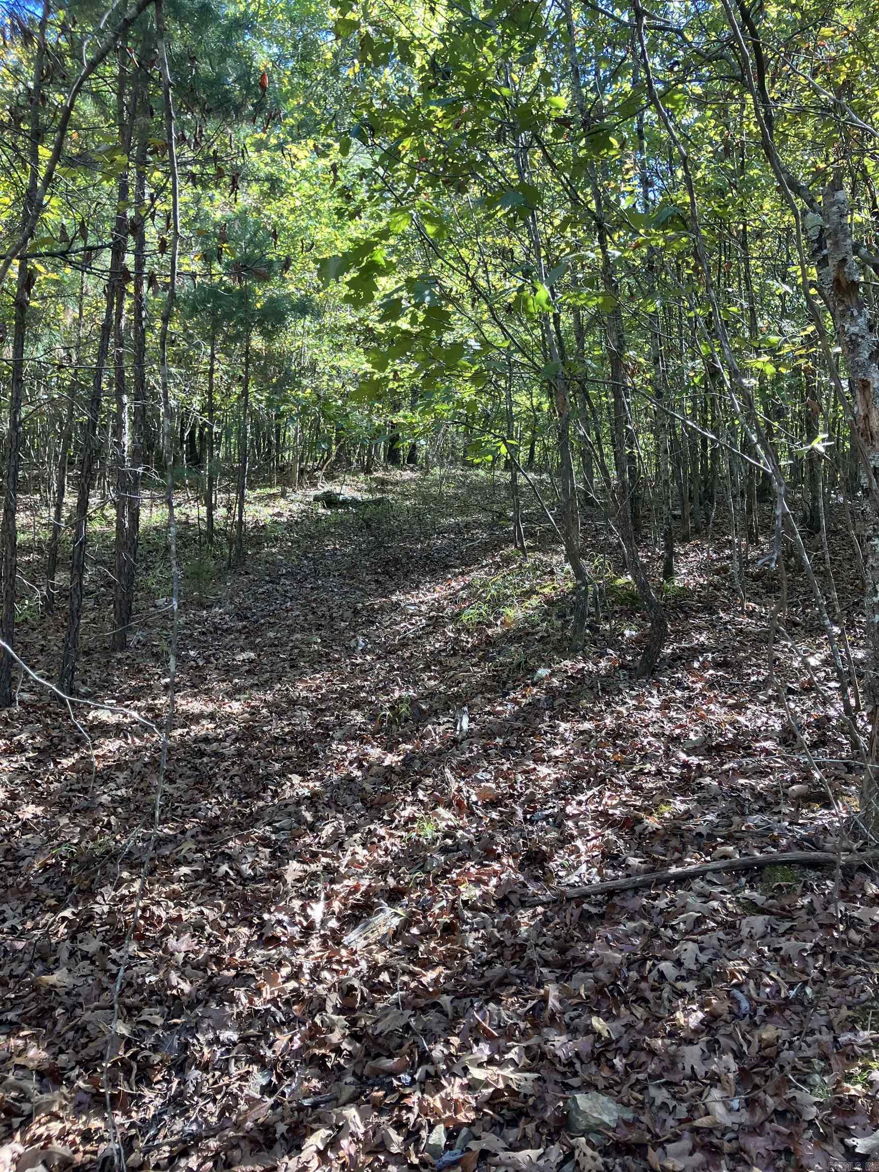 Tbd Tract 5 Polk Road 78 Road Property Photo 26