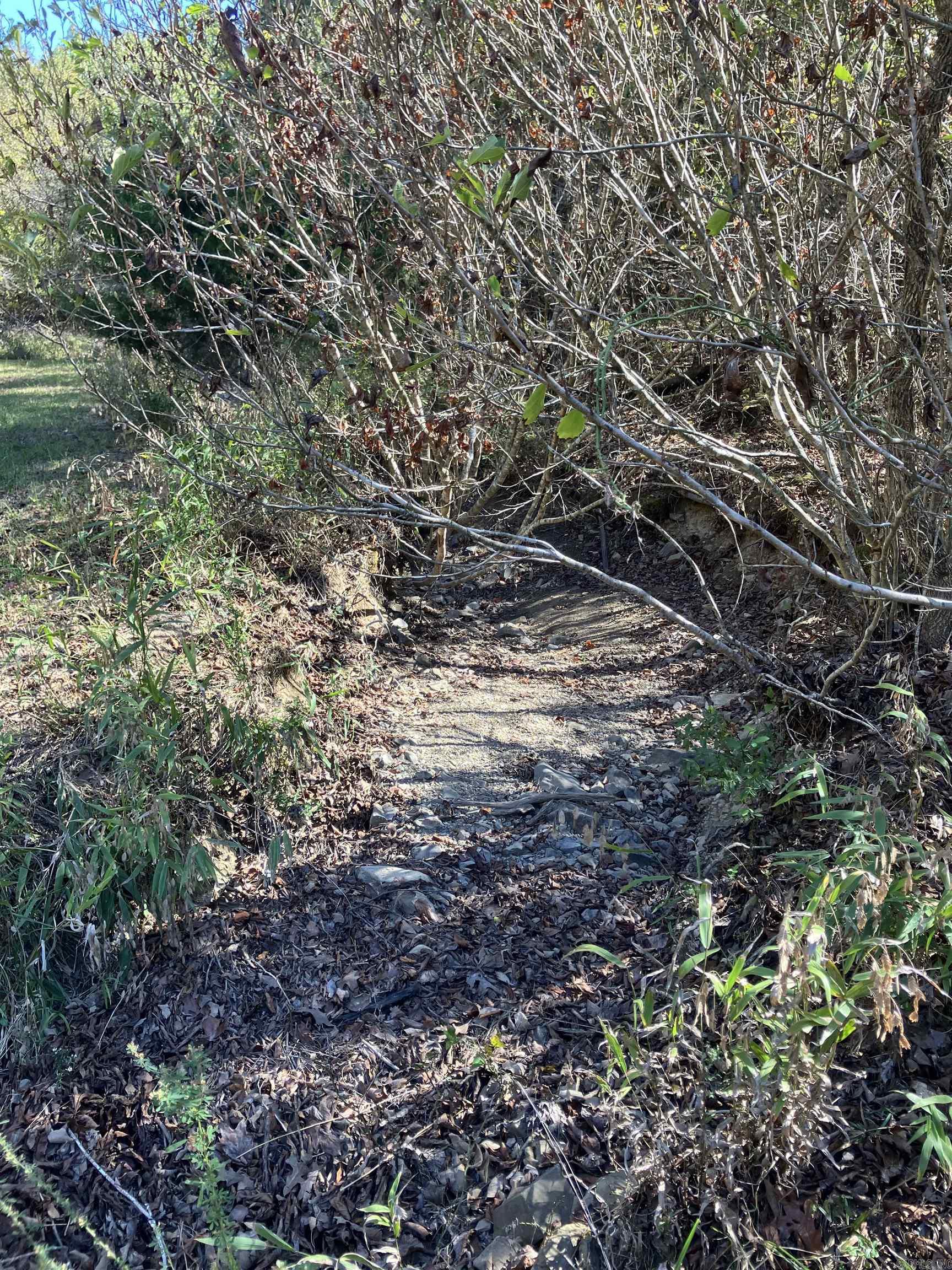 Tbd Tract 5 Polk Road 78 Road Property Photo 27