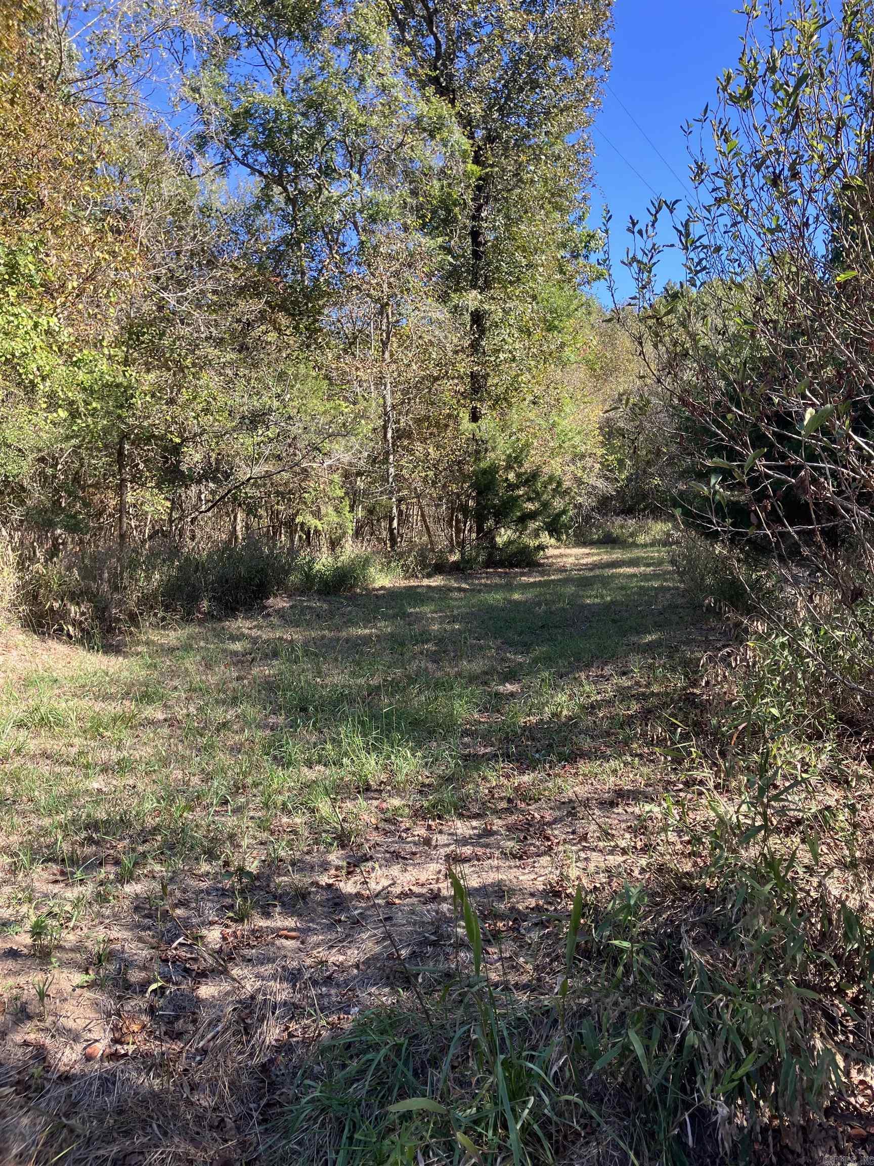 Tbd Tract 5 Polk Road 78 Road Property Photo 28