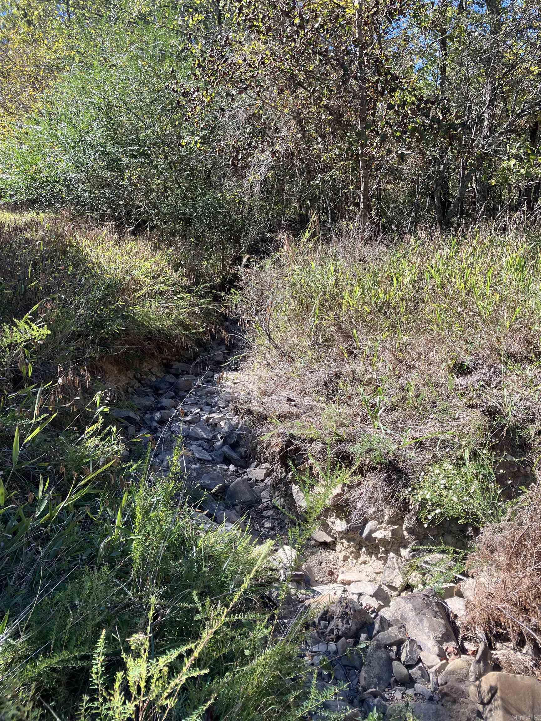 Tbd Tract 5 Polk Road 78 Road Property Photo 29
