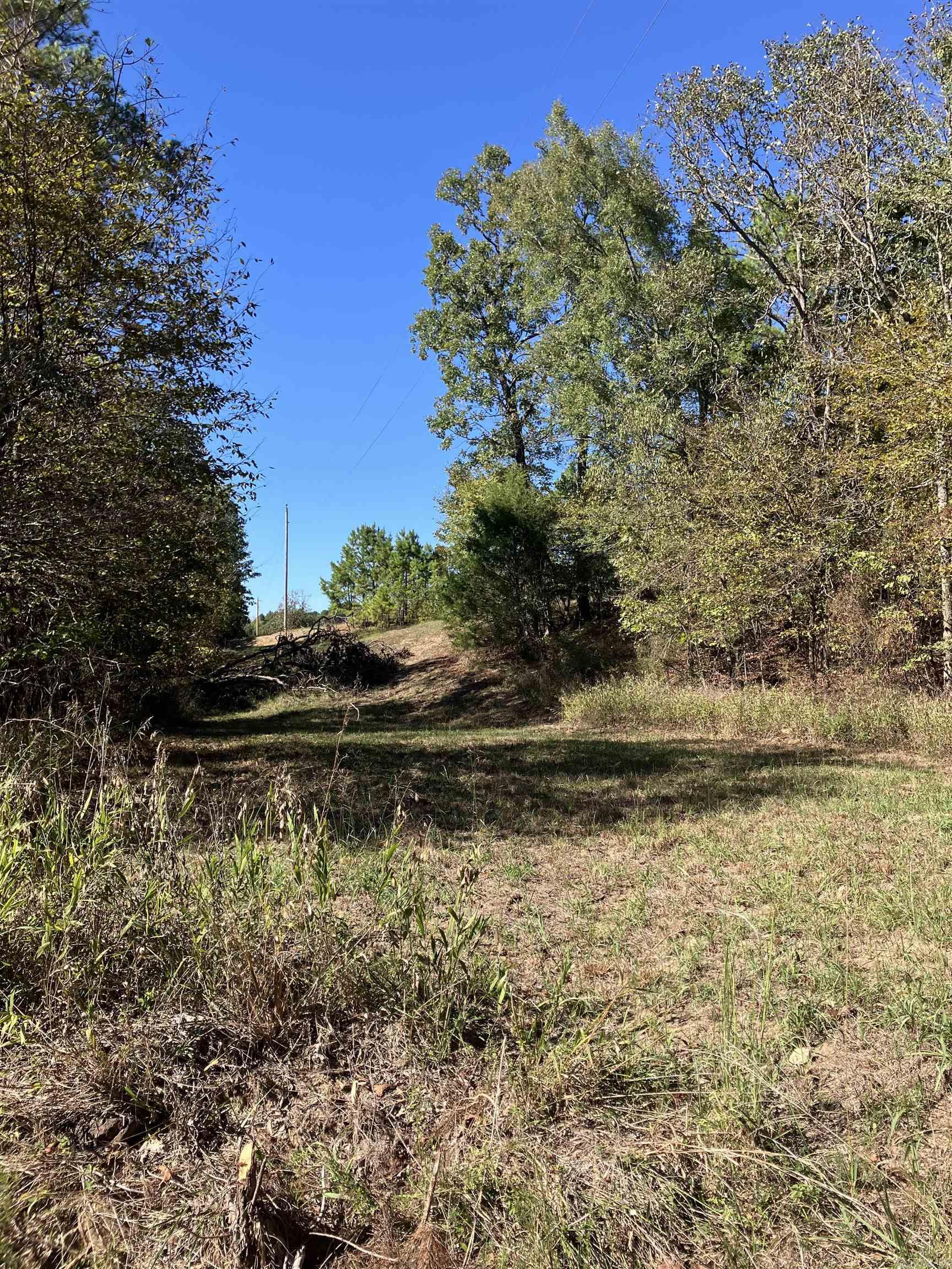 Tbd Tract 5 Polk Road 78 Road Property Photo 30
