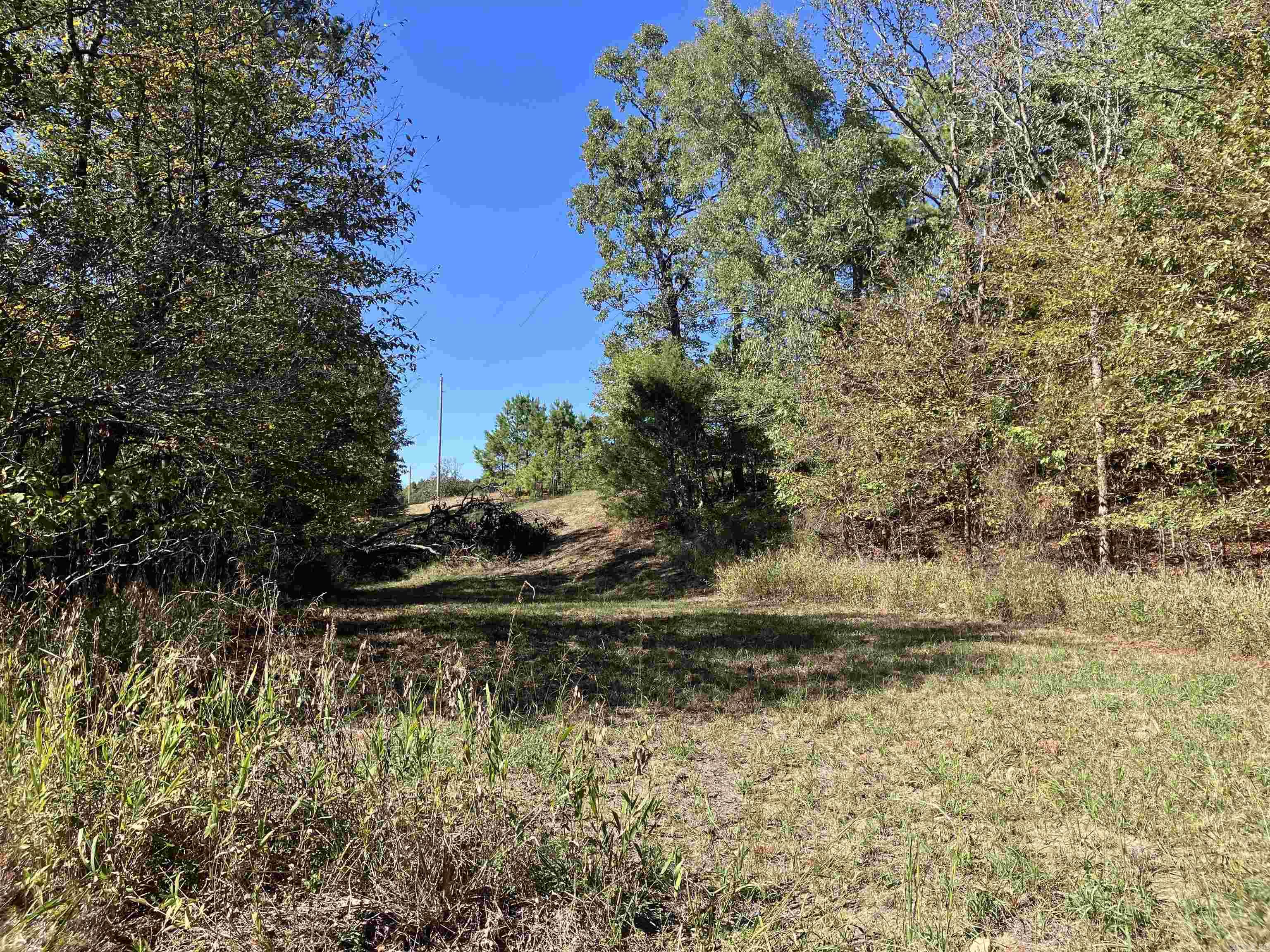 Tbd Tract 5 Polk Road 78 Road Property Photo 31