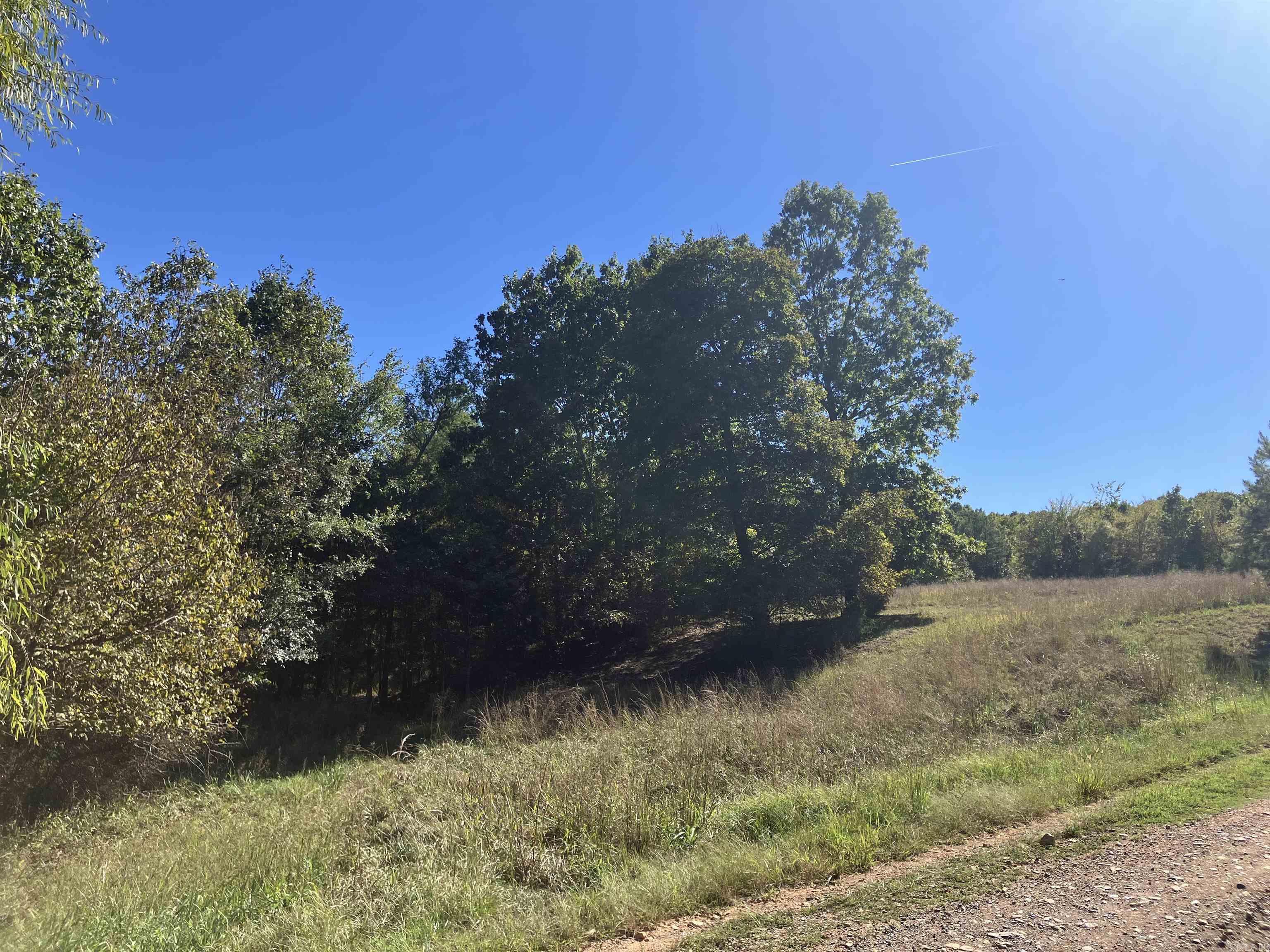 Tbd Tract 5 Polk Road 78 Road Property Photo 33