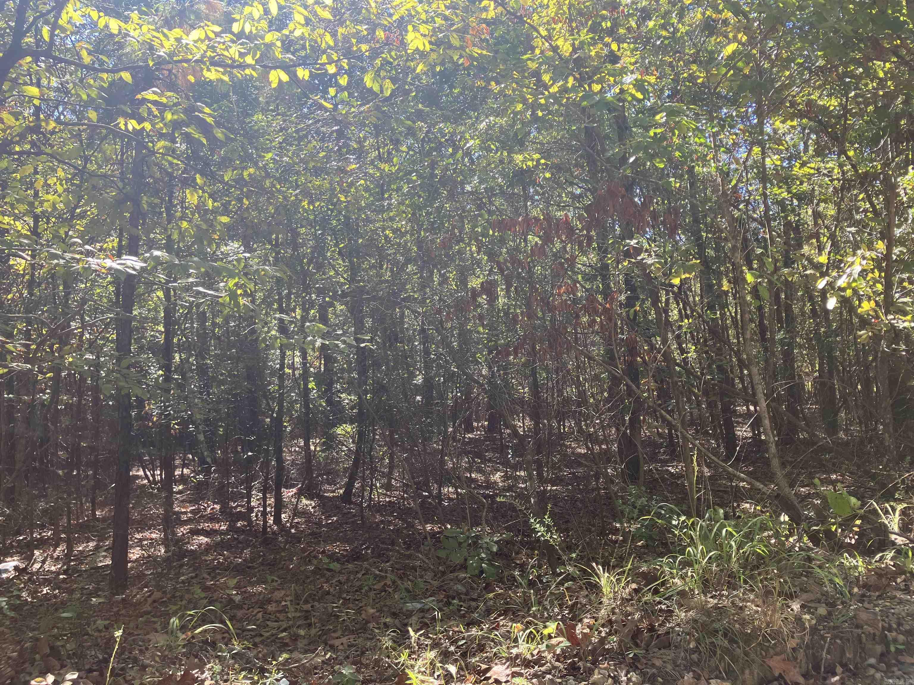 Tbd Tract 5 Polk Road 78 Road Property Photo 34