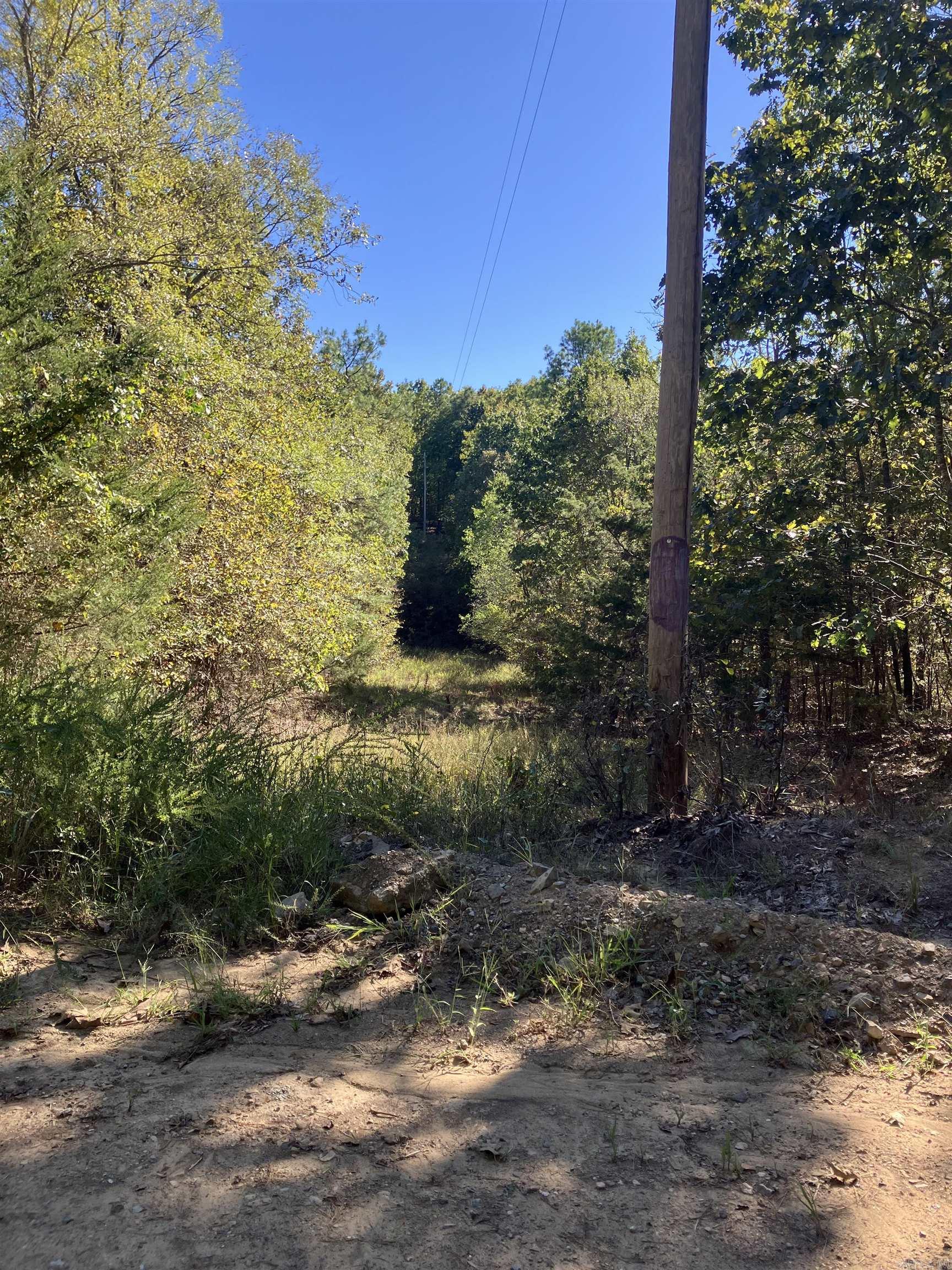Tbd Tract 5 Polk Road 78 Road Property Photo 37