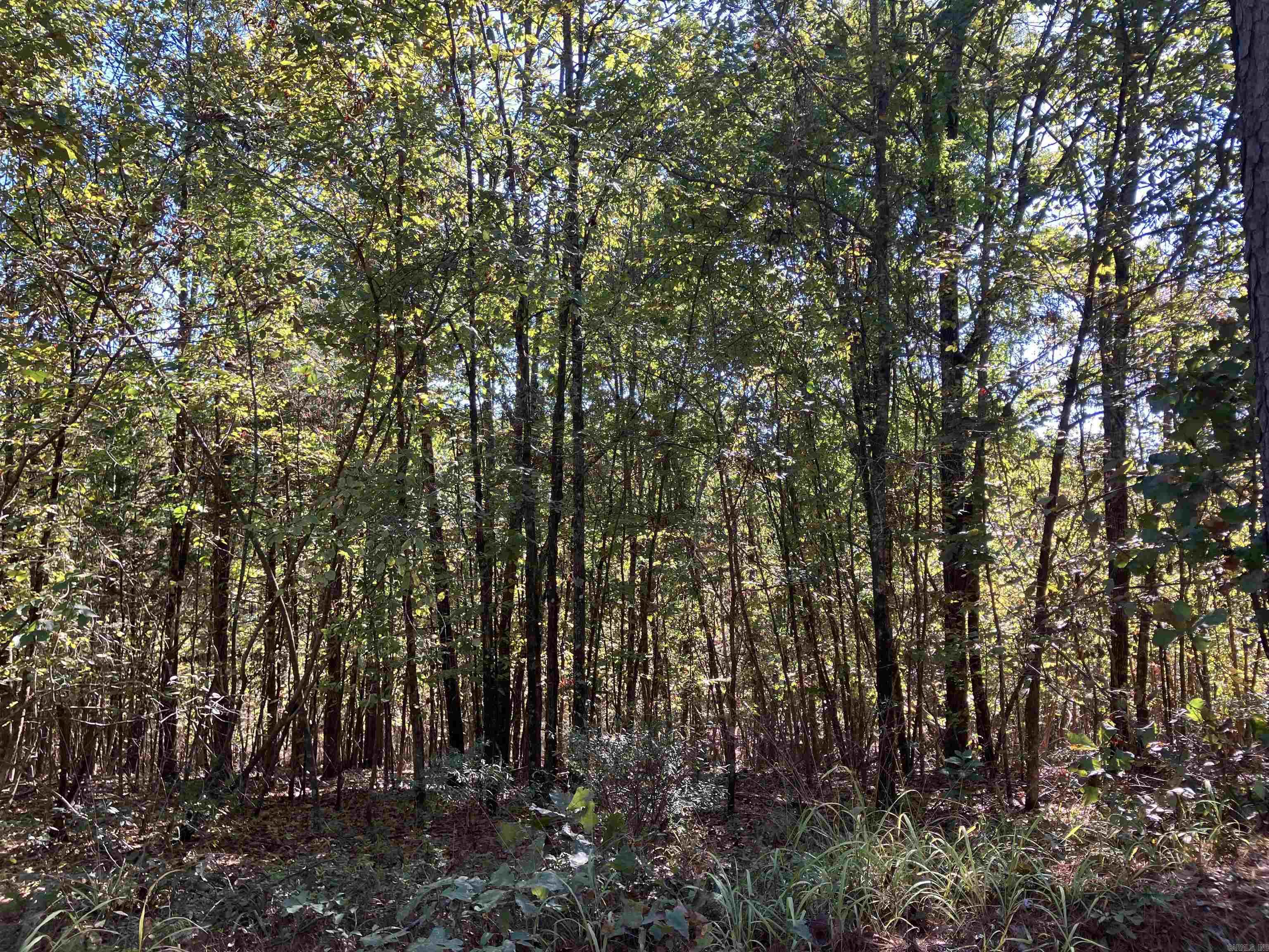 Tbd Tract 5 Polk Road 78 Road Property Photo 38