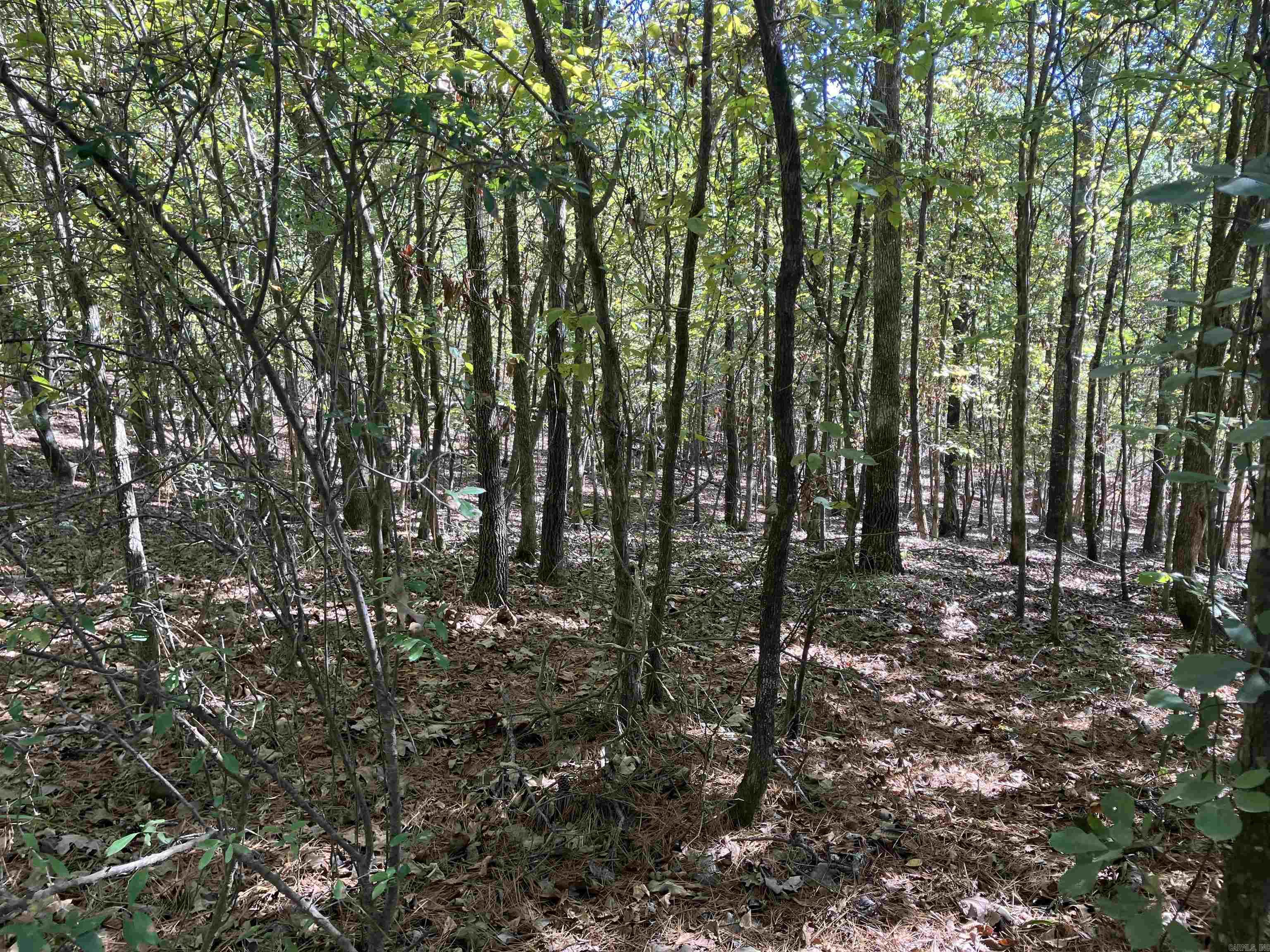 Tbd Tract 5 Polk Road 78 Road Property Photo 39