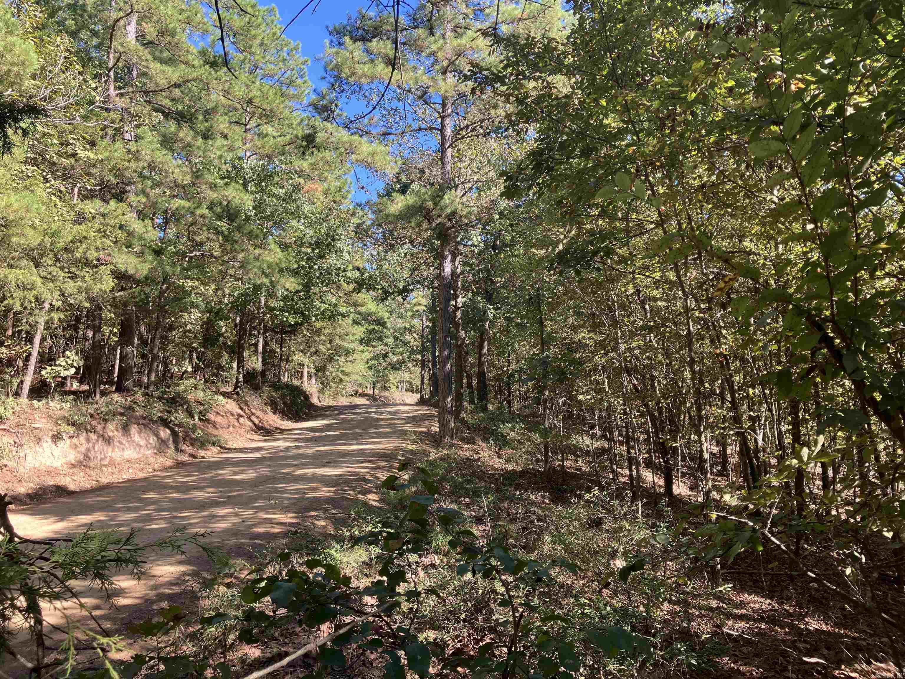 Tbd Tract 5 Polk Road 78 Road Property Photo 40