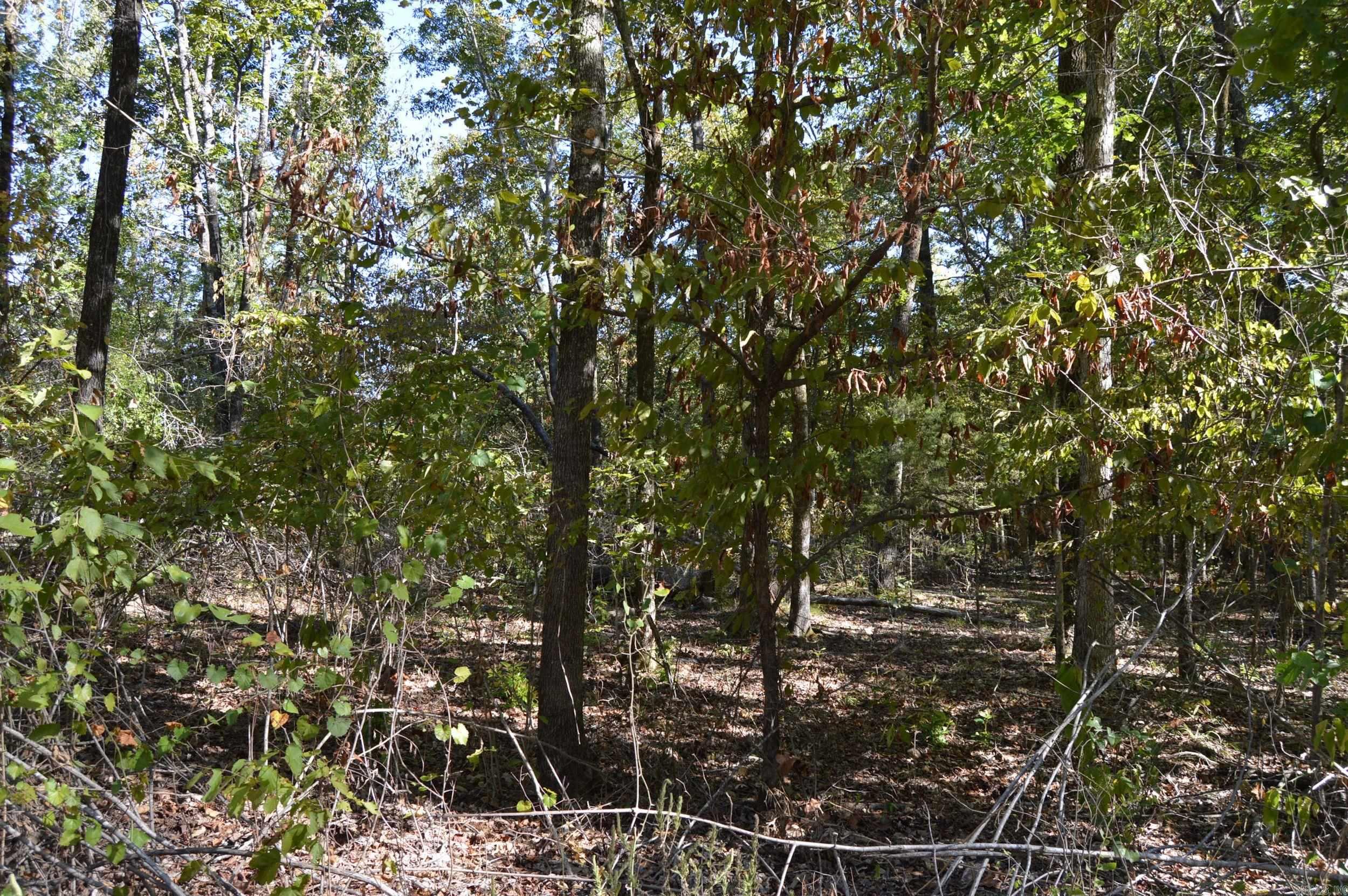 00 Kelley Property Photo 1