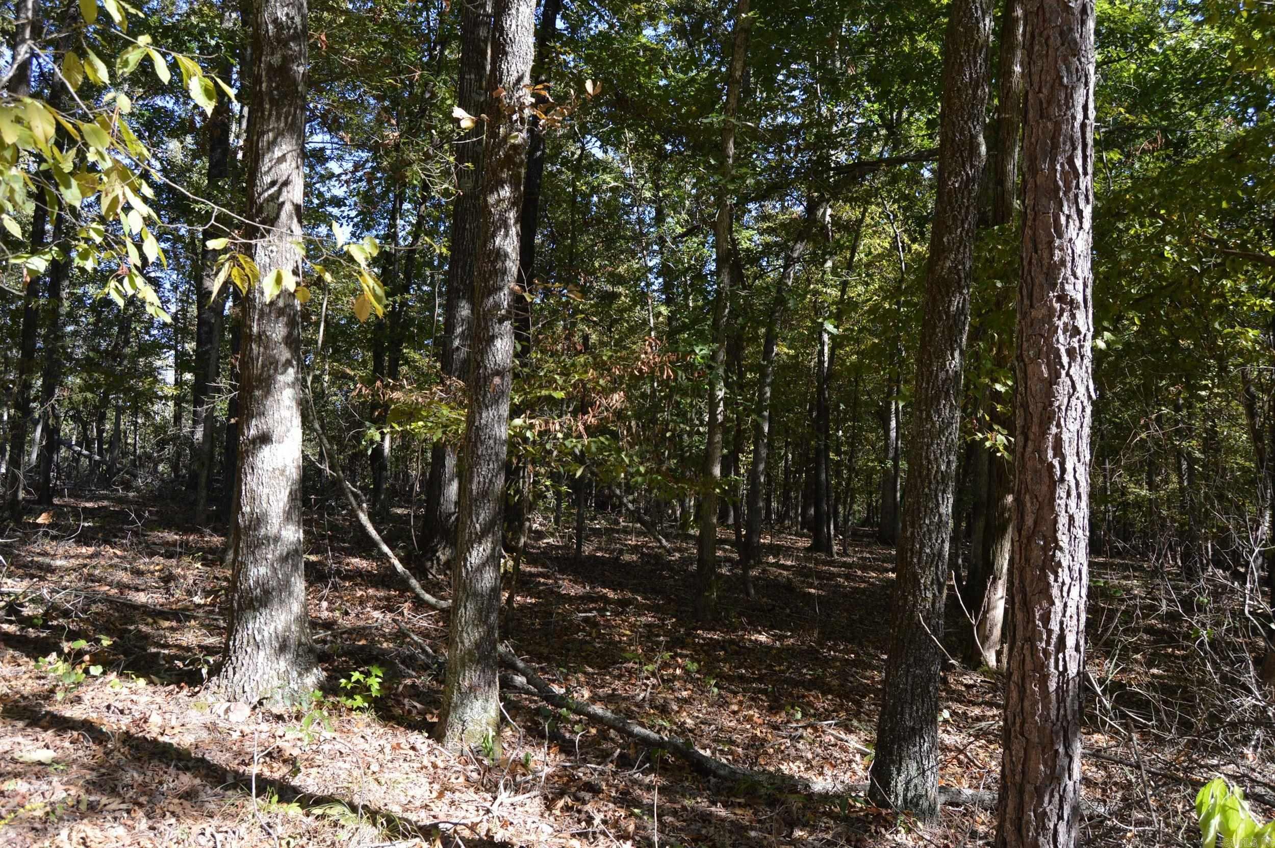 00 Kelley Property Photo 3