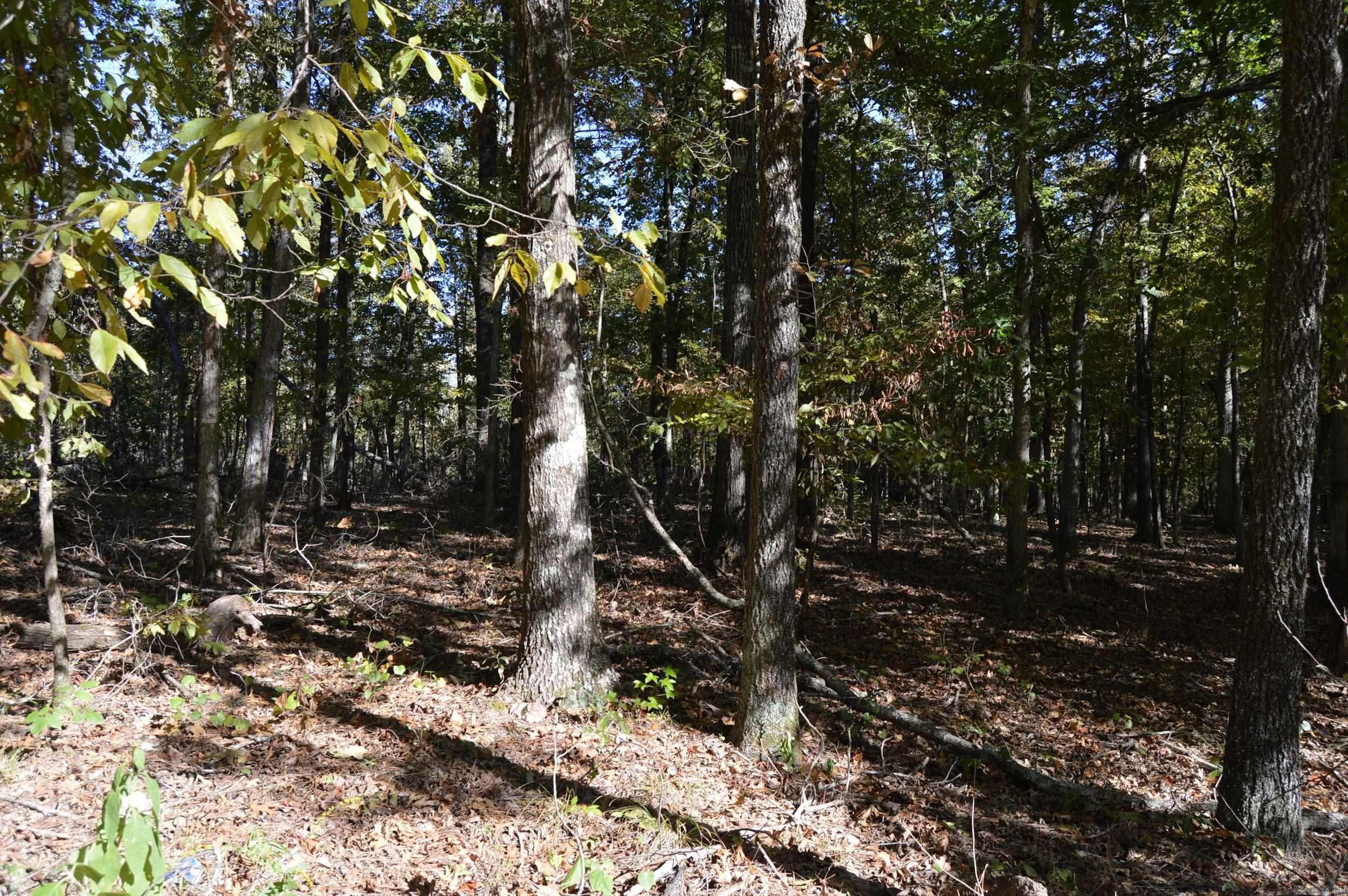 00 Kelley Property Photo 4