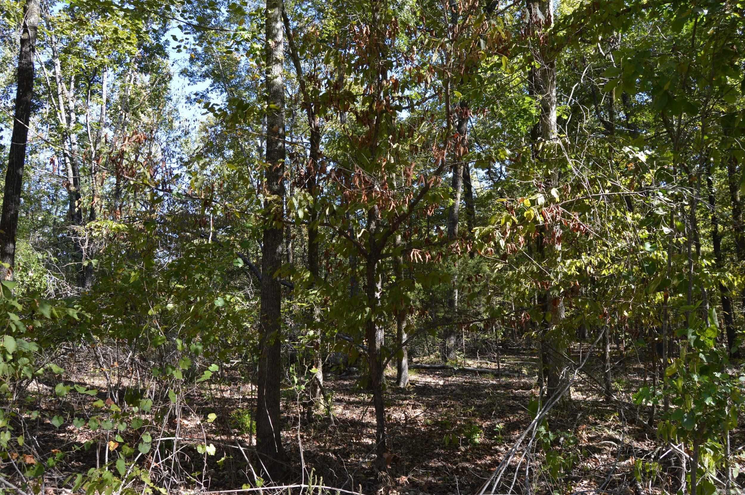 00 Kelley Property Photo 6