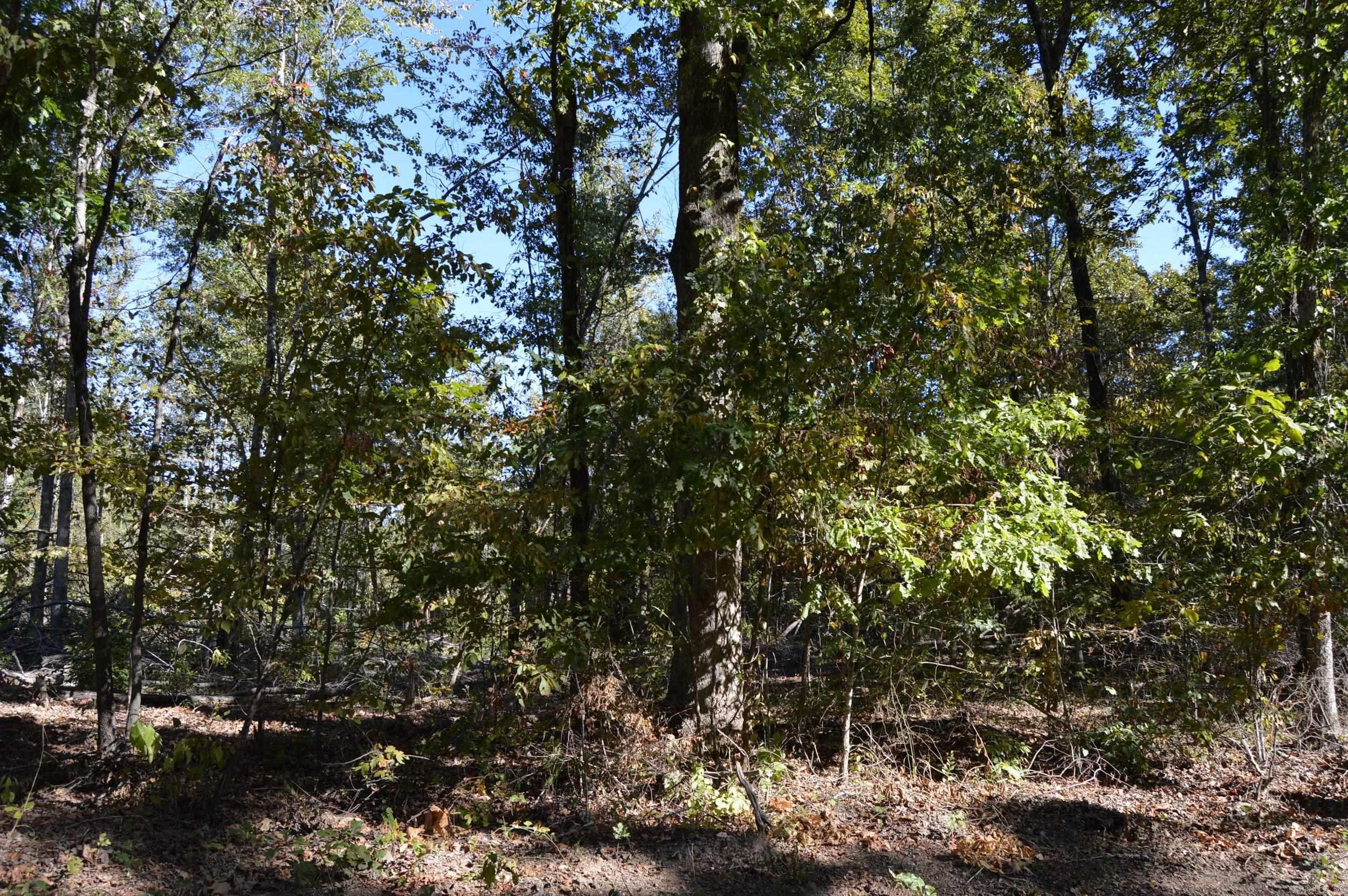 00 Kelley Property Photo 7