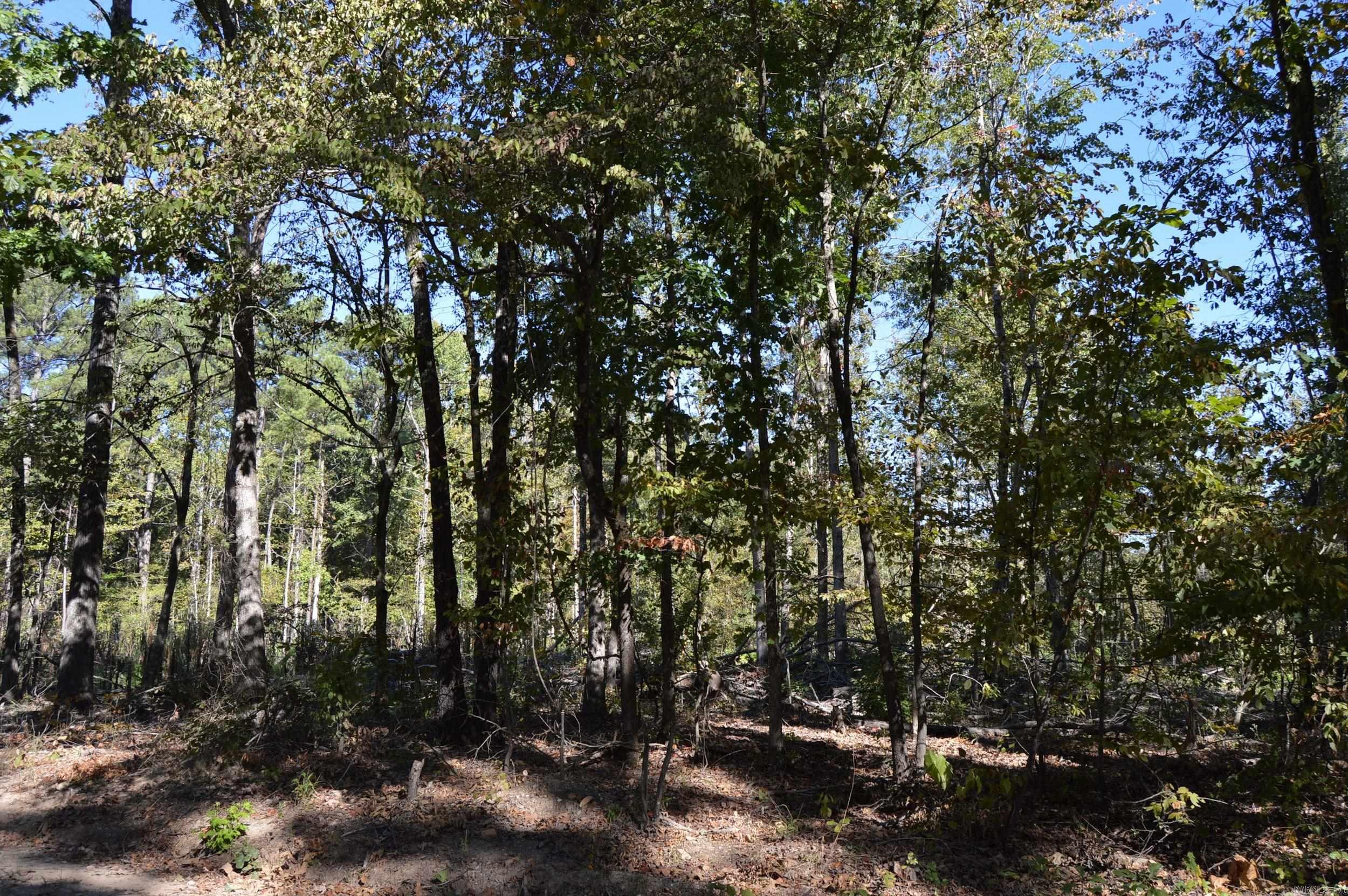 00 Kelley Property Photo 8