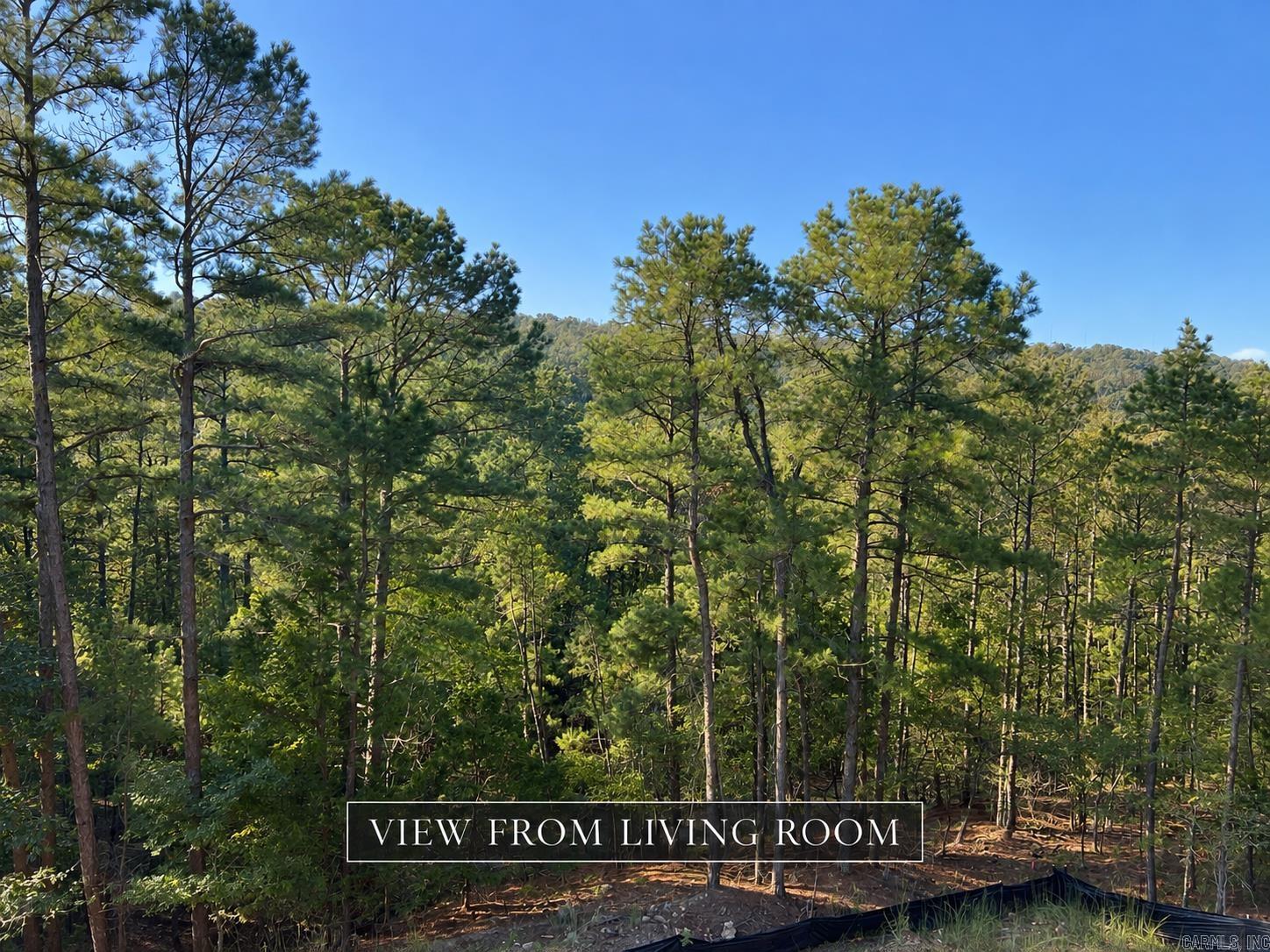 177 Ridgeview Trail Property Photo 2
