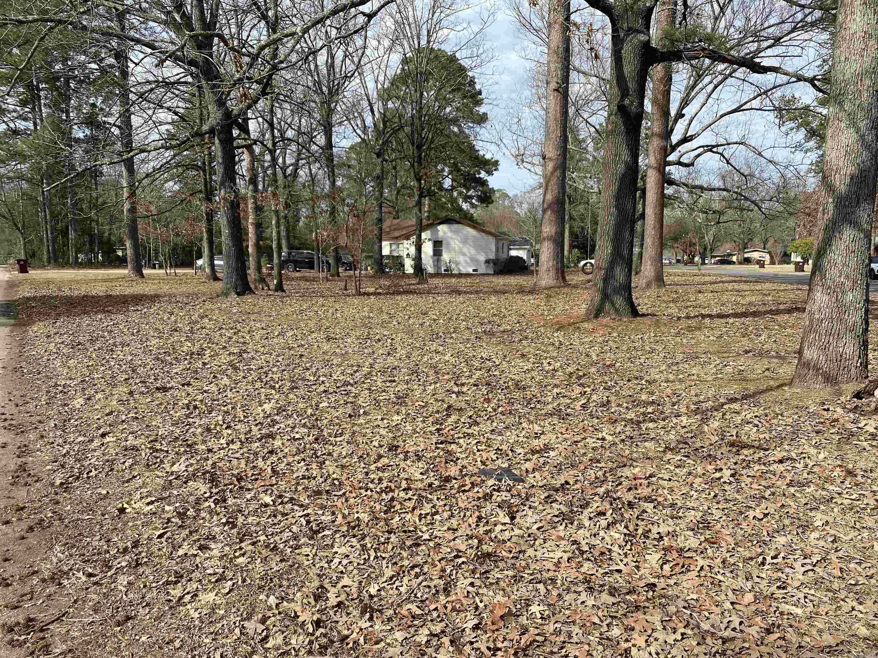 808 Maple St Property Photo 18