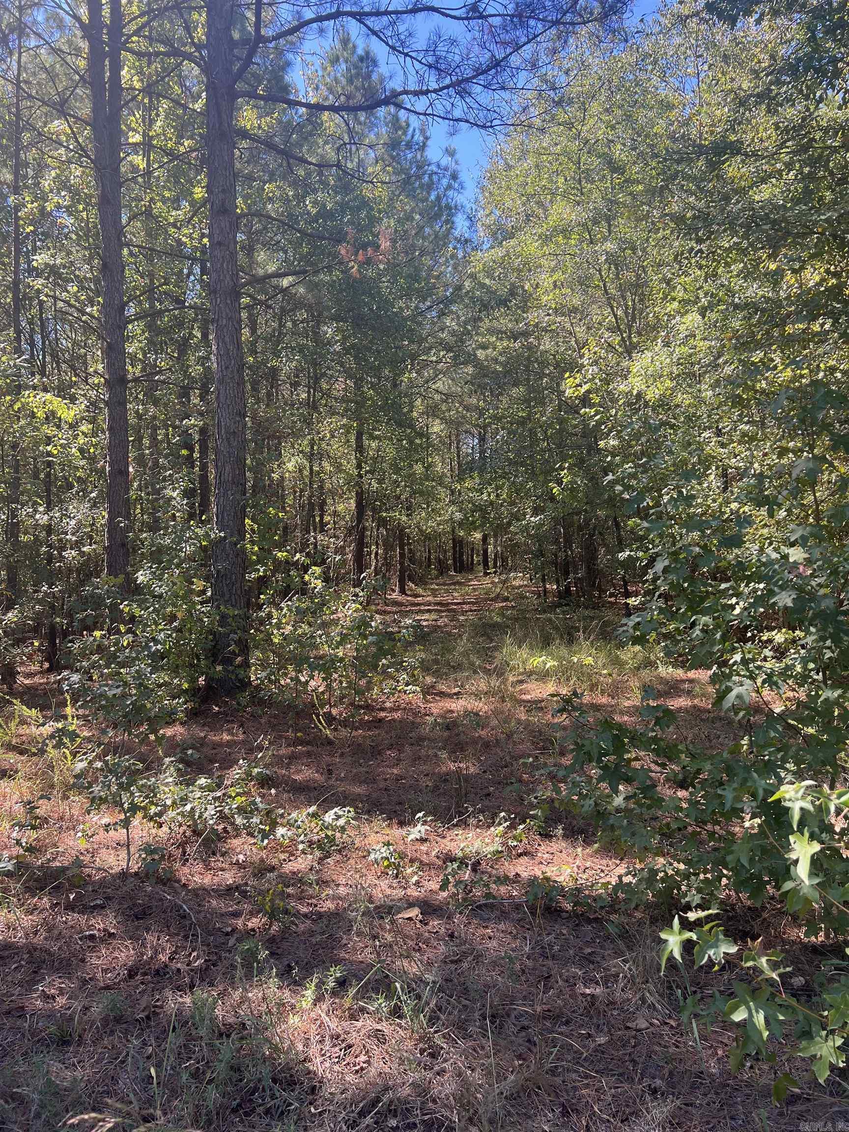 Xx Tract 11 Castle Property Photo 1