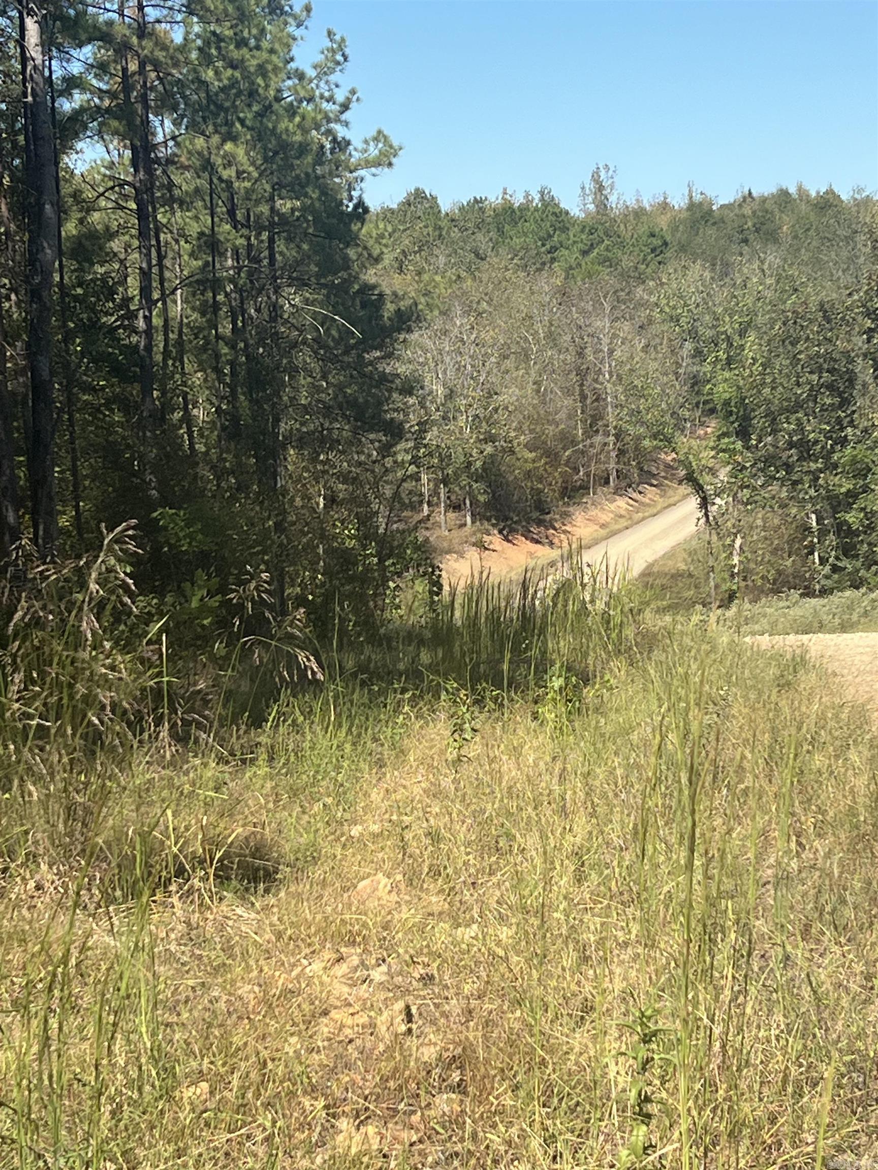 Xx Tract 11 Castle Property Photo 3