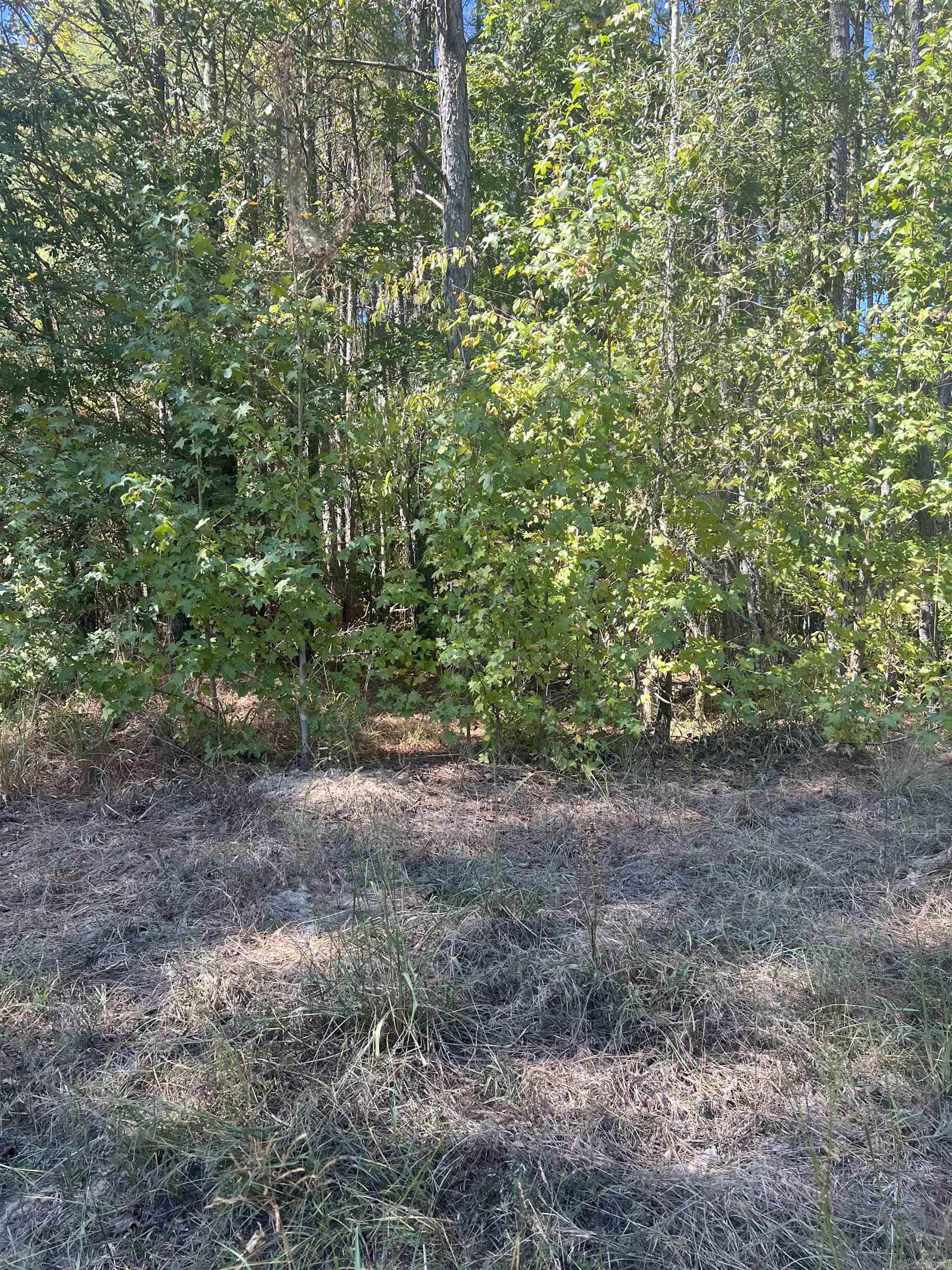 Xx Tract 11 Castle Property Photo 5