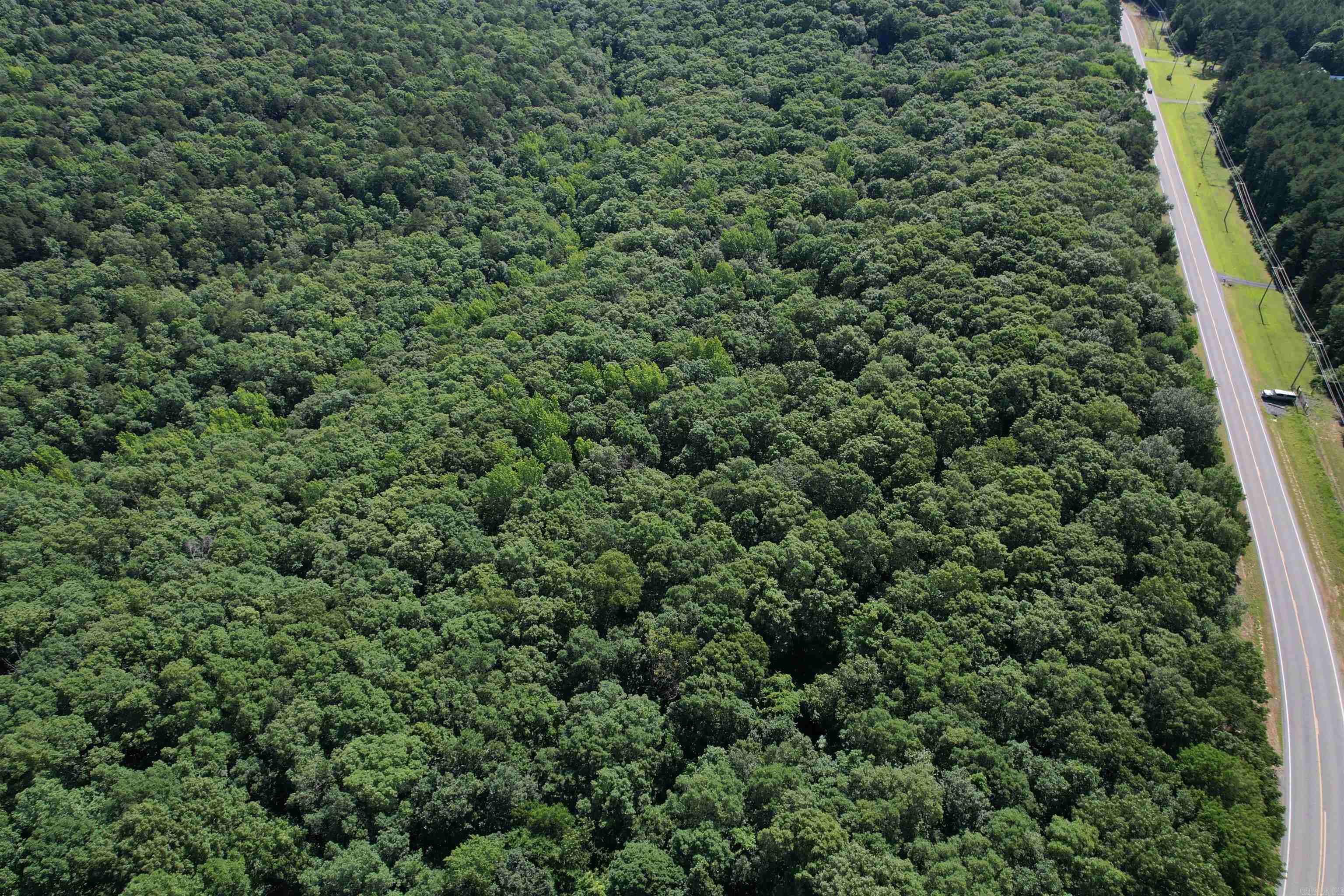 Tbd Highway 92 Property Photo 4