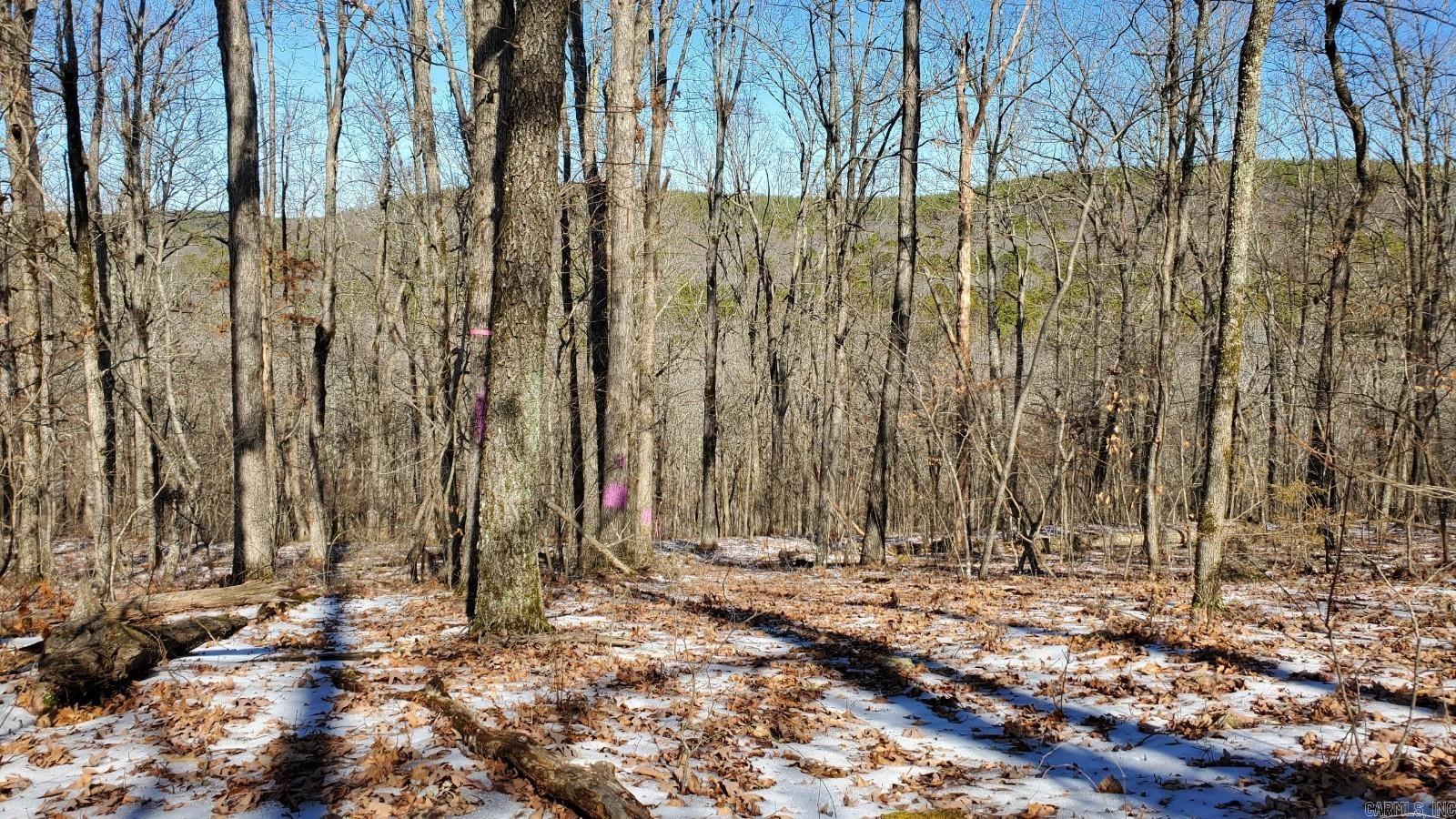 Tbd Highway 92 Property Photo 9
