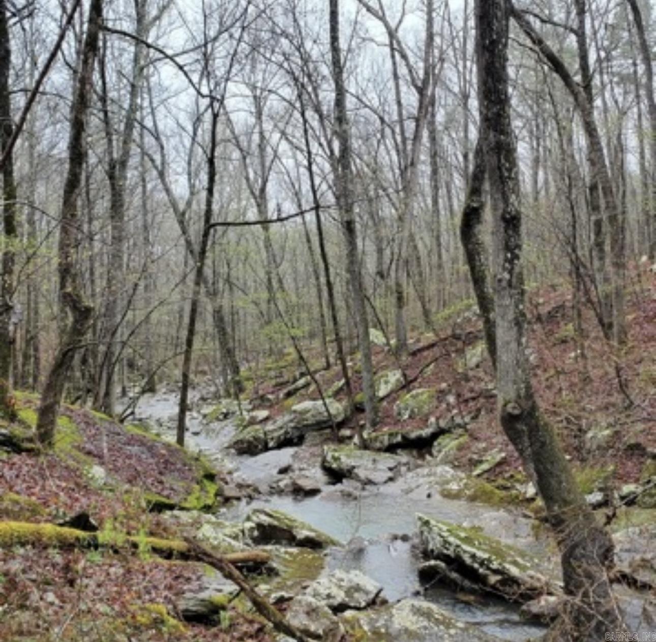 Tbd Highway 92 Property Photo 10