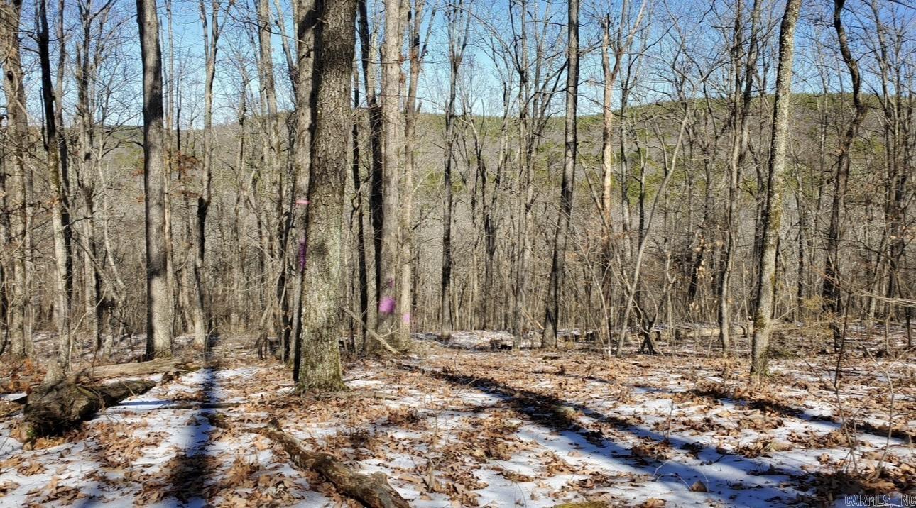 Tbd Highway 92 Property Photo 13