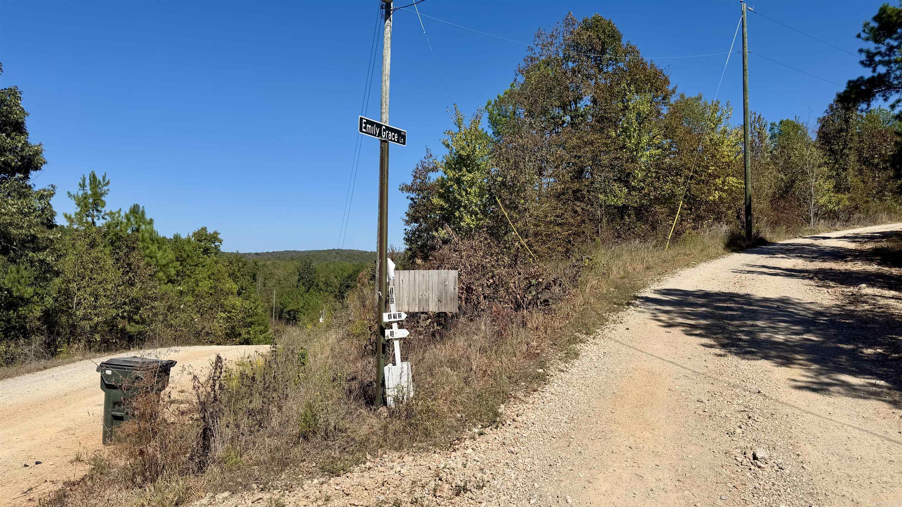 265 Emily Grace Lane Property Photo 2